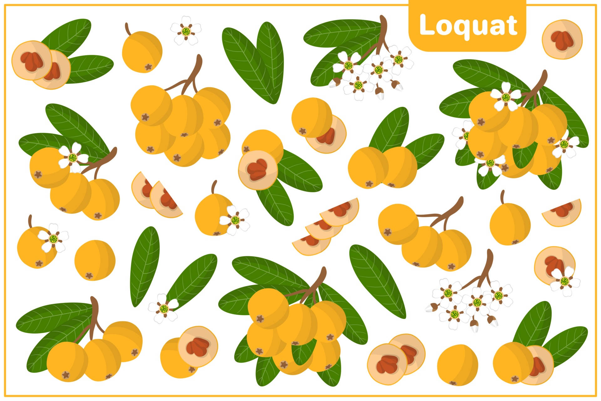 loquat fruits, flowers, leaves, Full HD Desktop Wallpaper
