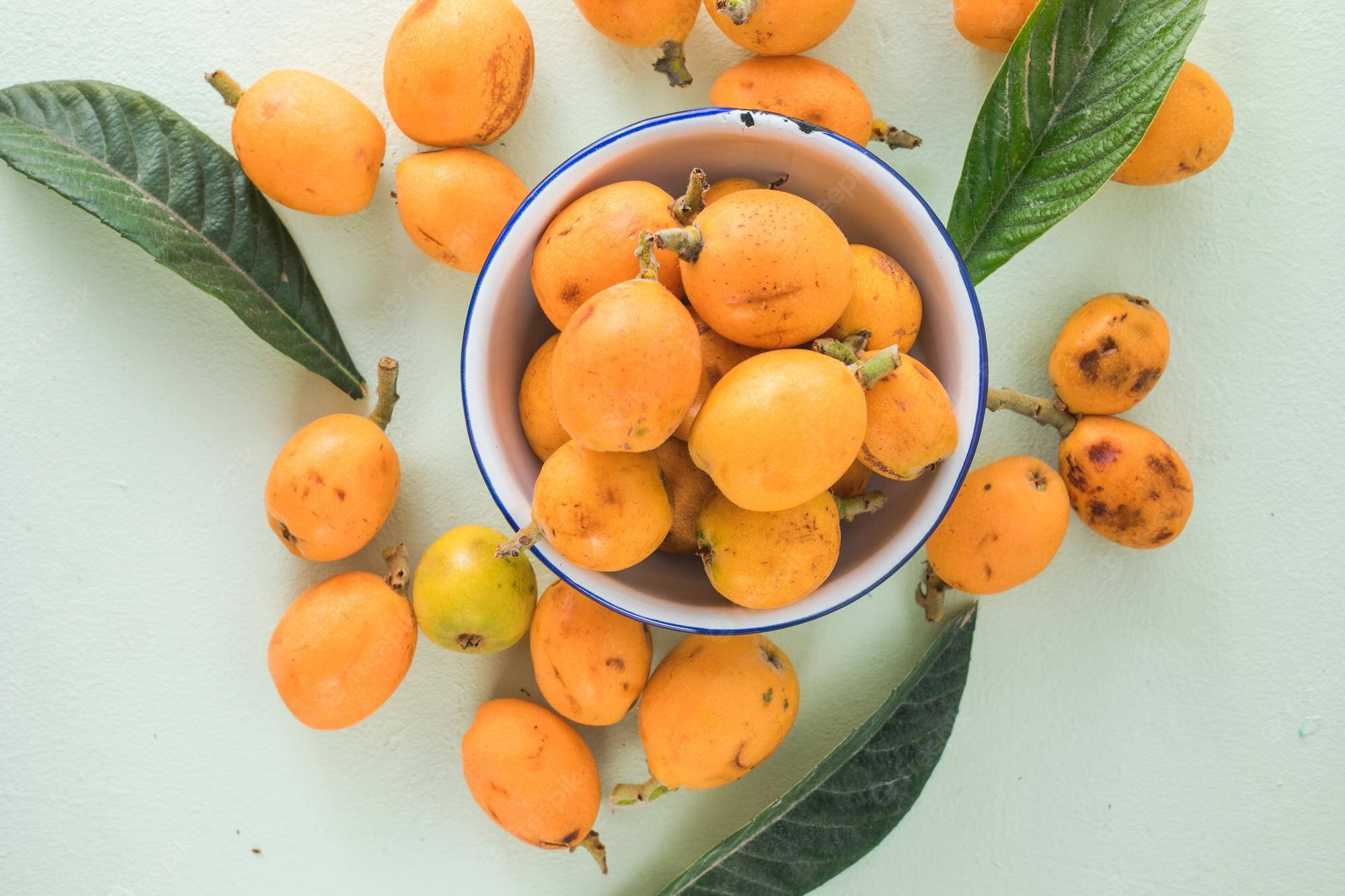 bowl of loquat fruits, white bowl, blue rim, Full HD Desktop Wallpaper