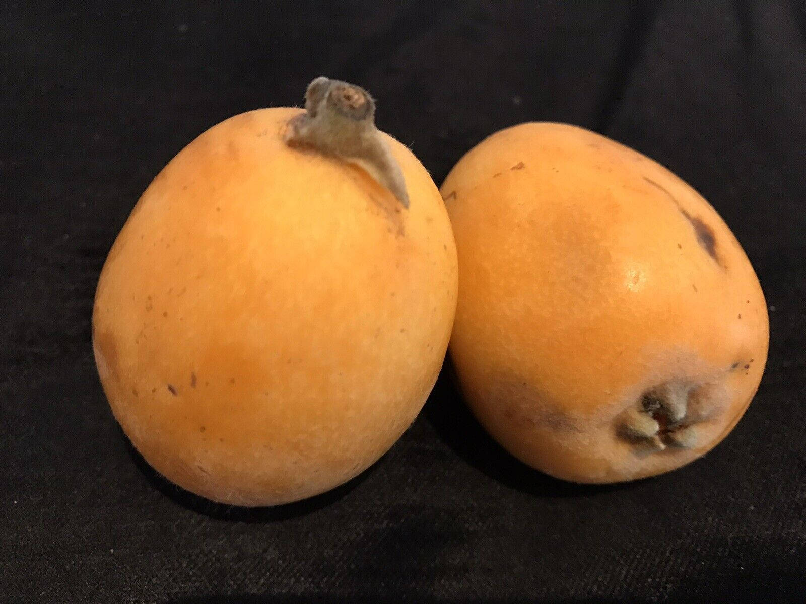 loquat, fuzzy orange skin, stems, HD Desktop Wallpaper