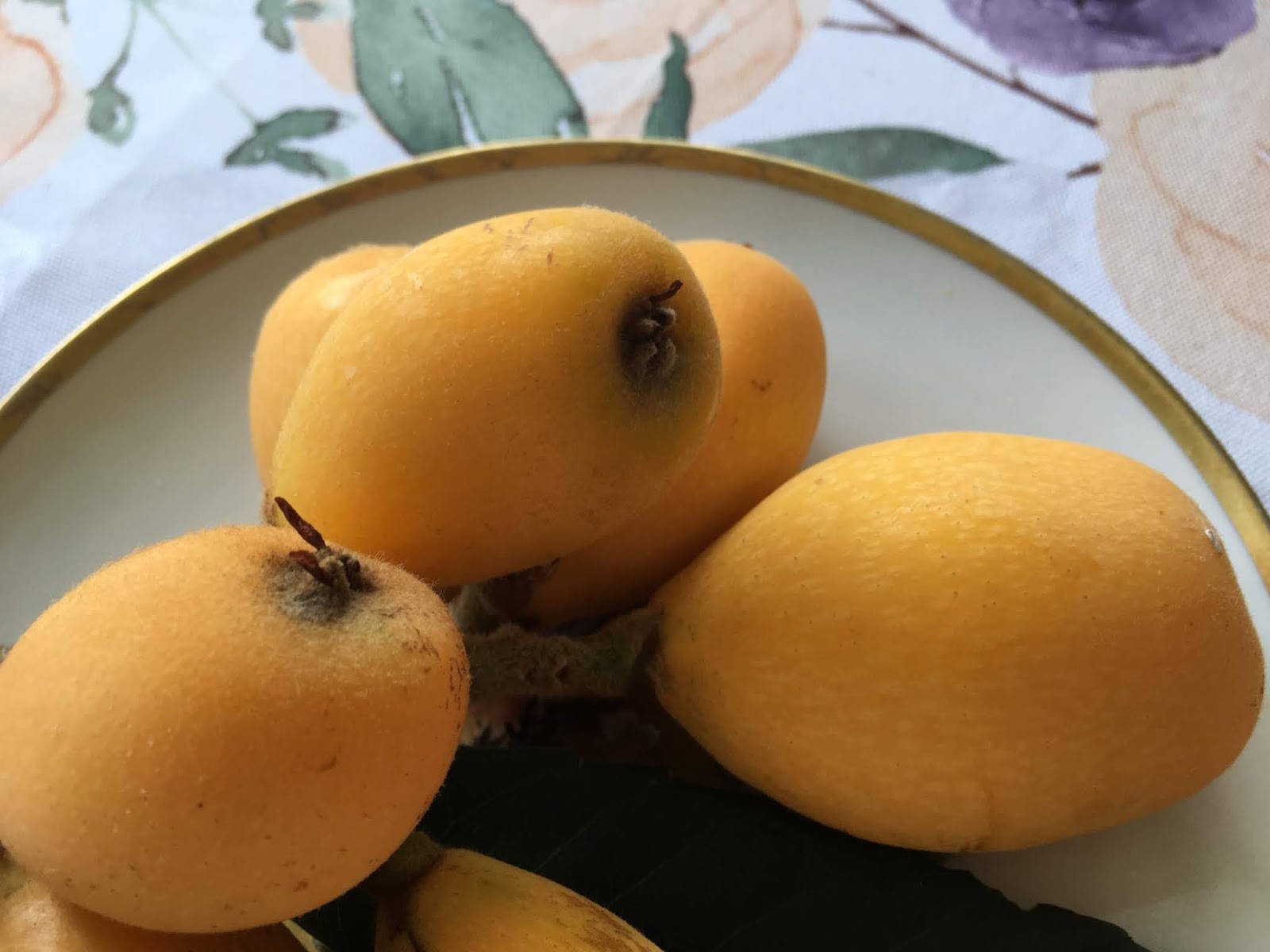 loquat fruits, oblong shape, golden loquats, HD Desktop Wallpaper