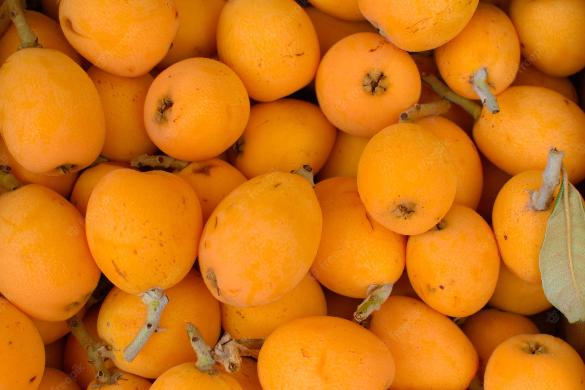 loquat fruits, vibrant orange, green stems, Full HD Desktop Wallpaper
