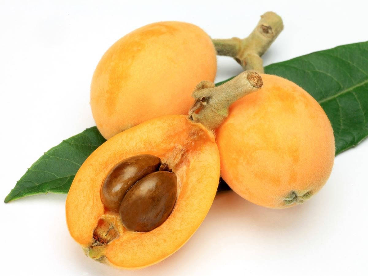 loquat, glossy brown seeds, green leaves, SD Desktop Wallpaper