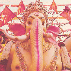 Lord Ganesha, vibrant pink, gold, SD Desktop Wallpaper