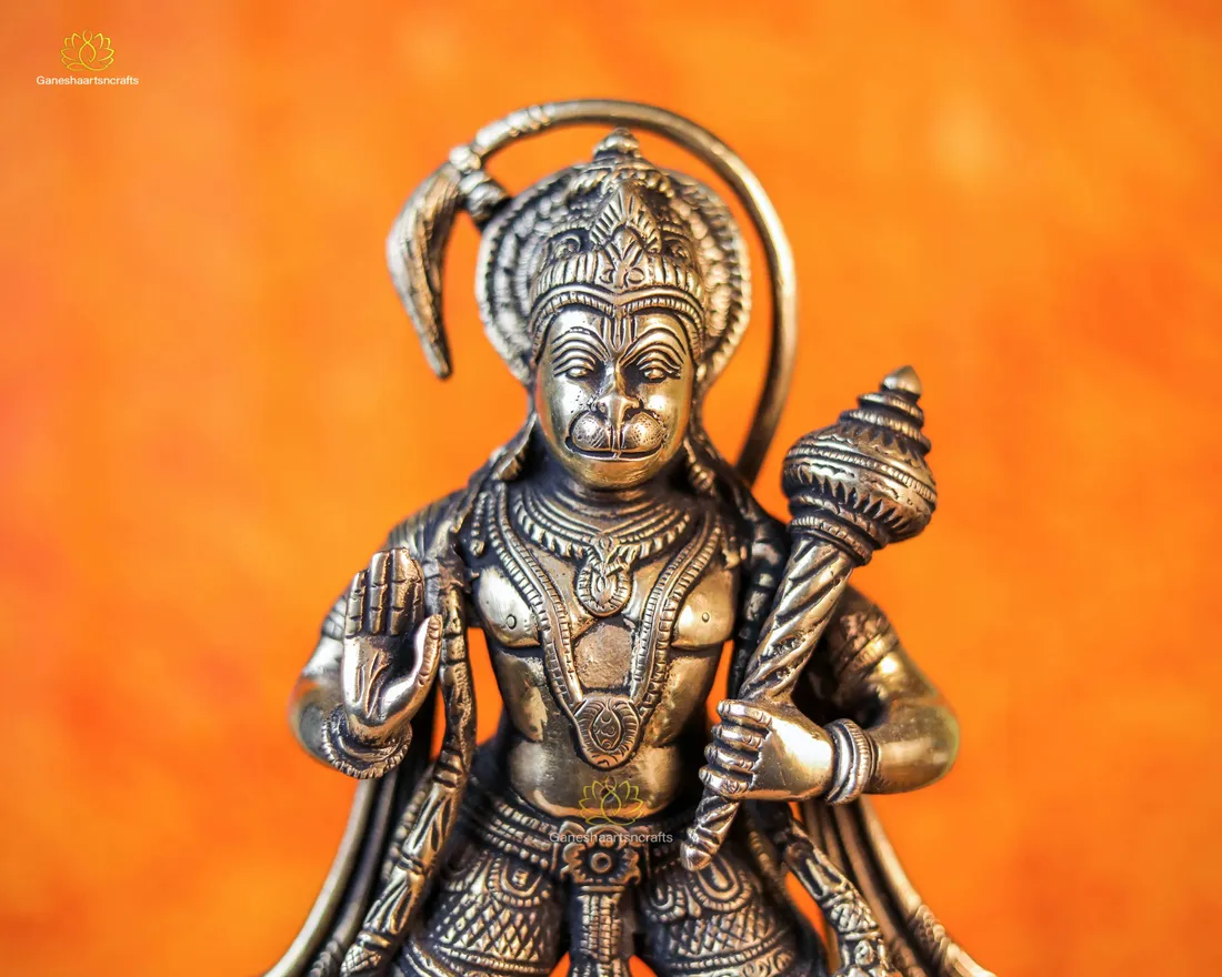 Lord Hanuman 3D