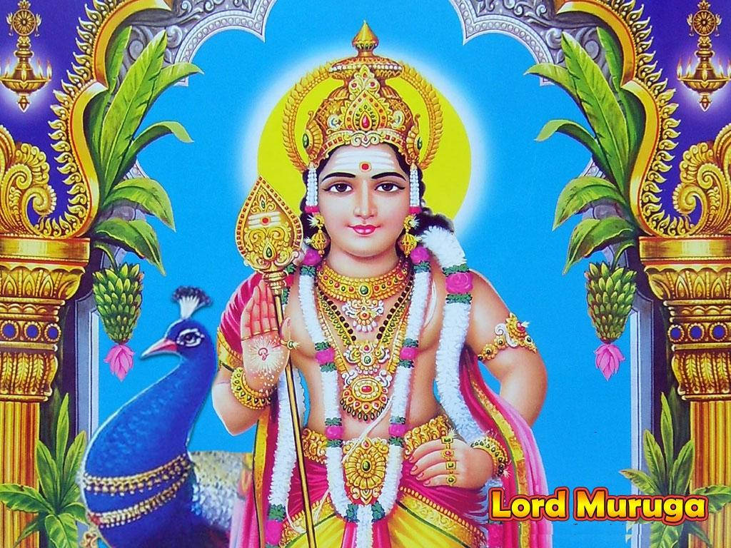 Lord Murugan, golden arc, peacock, SD Desktop Wallpaper