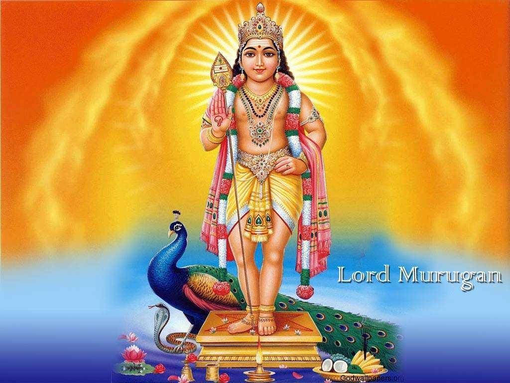 Lord Murugan, golden platform, peacock, SD Desktop Wallpaper