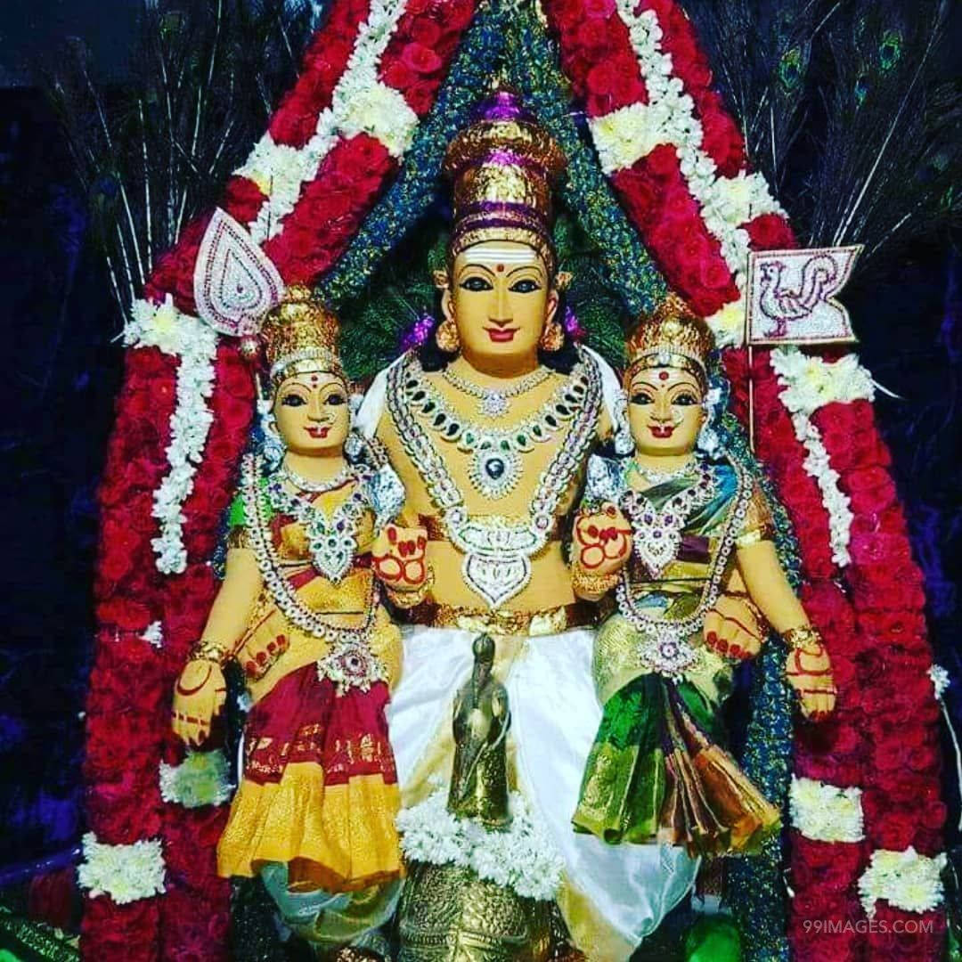 Lord Murugan, two wives, gold jewelry, SD Desktop Wallpaper