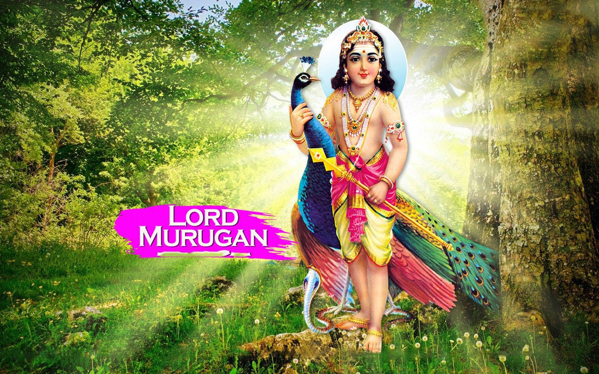 Lord Murugan, peacock, lush green forest, Full HD Desktop Wallpaper