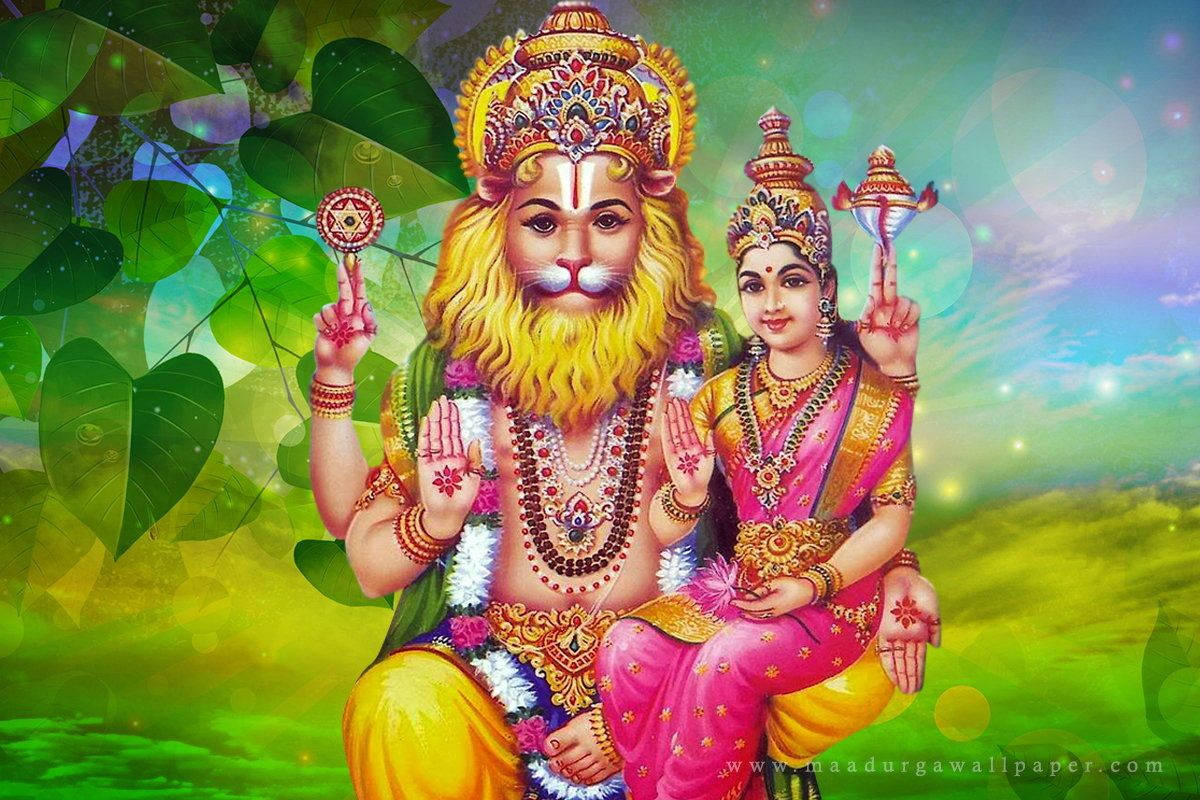 Lord Narasimha, vibrant gold, pink attire, SD Desktop Wallpaper