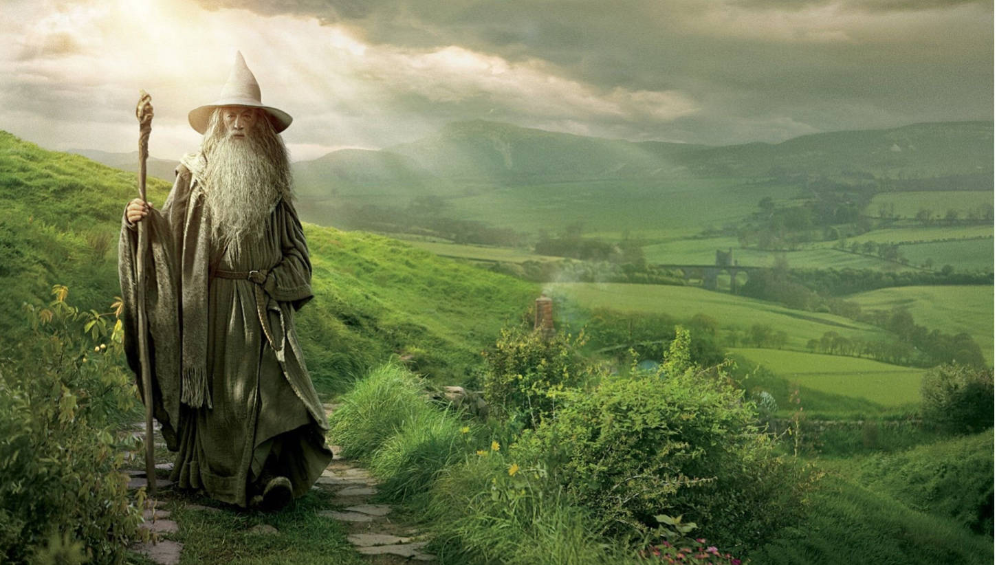 wizard, long white beard, pointed hat, HD Desktop Wallpaper