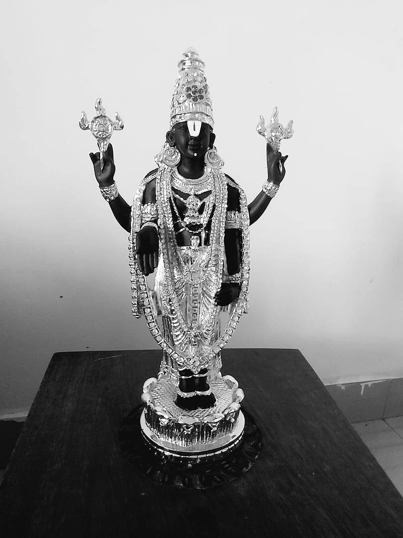 Lord Venkateswara, gilded silver garments, black and silver deity statue, SD Phone Wallpaper