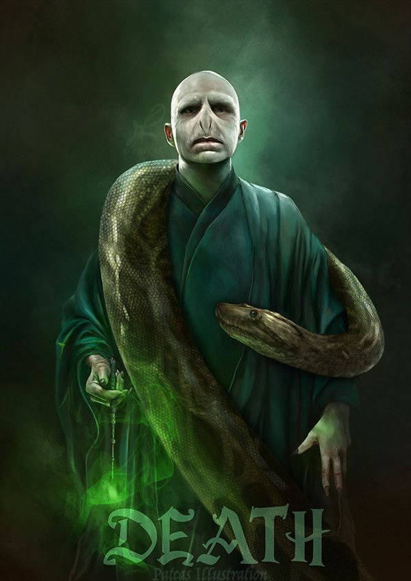 Lord Voldemort, snake, dark green robes, SD Phone Wallpaper