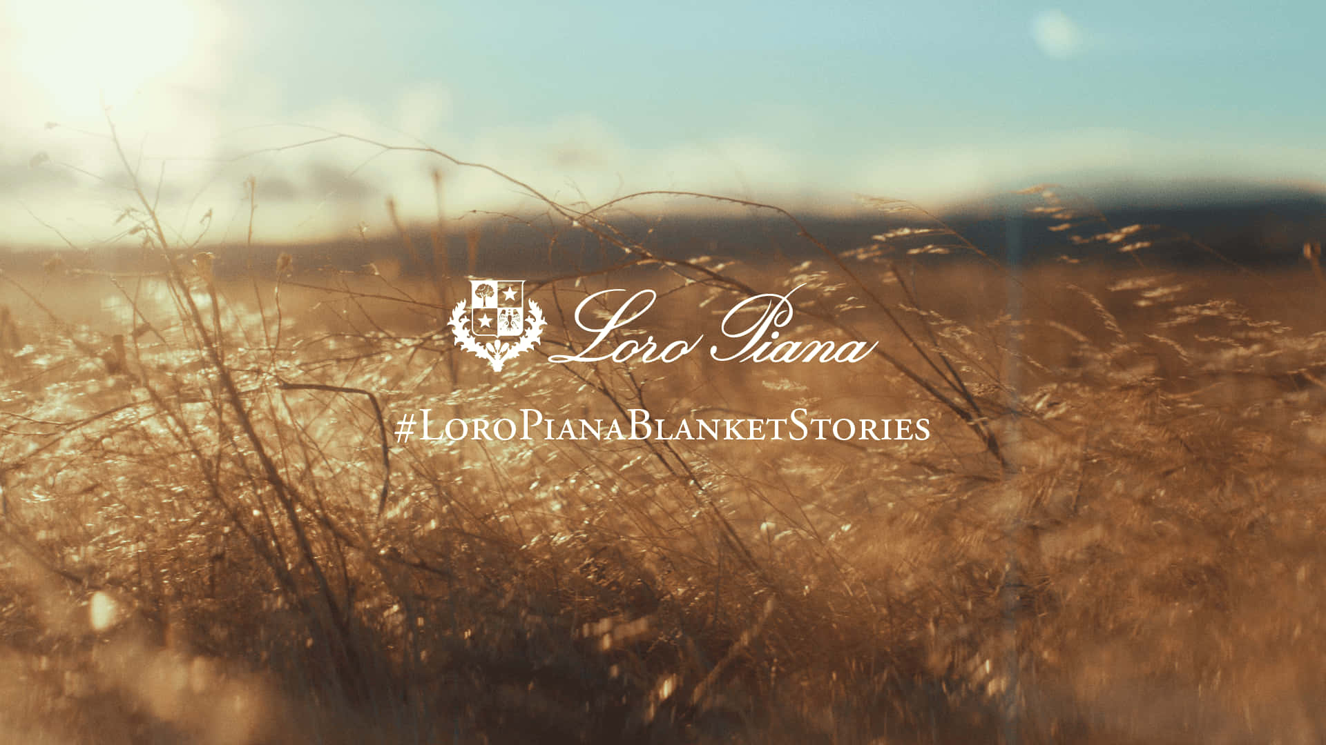 Loro Piana, blanket, golden grasses, Full HD Desktop Wallpaper