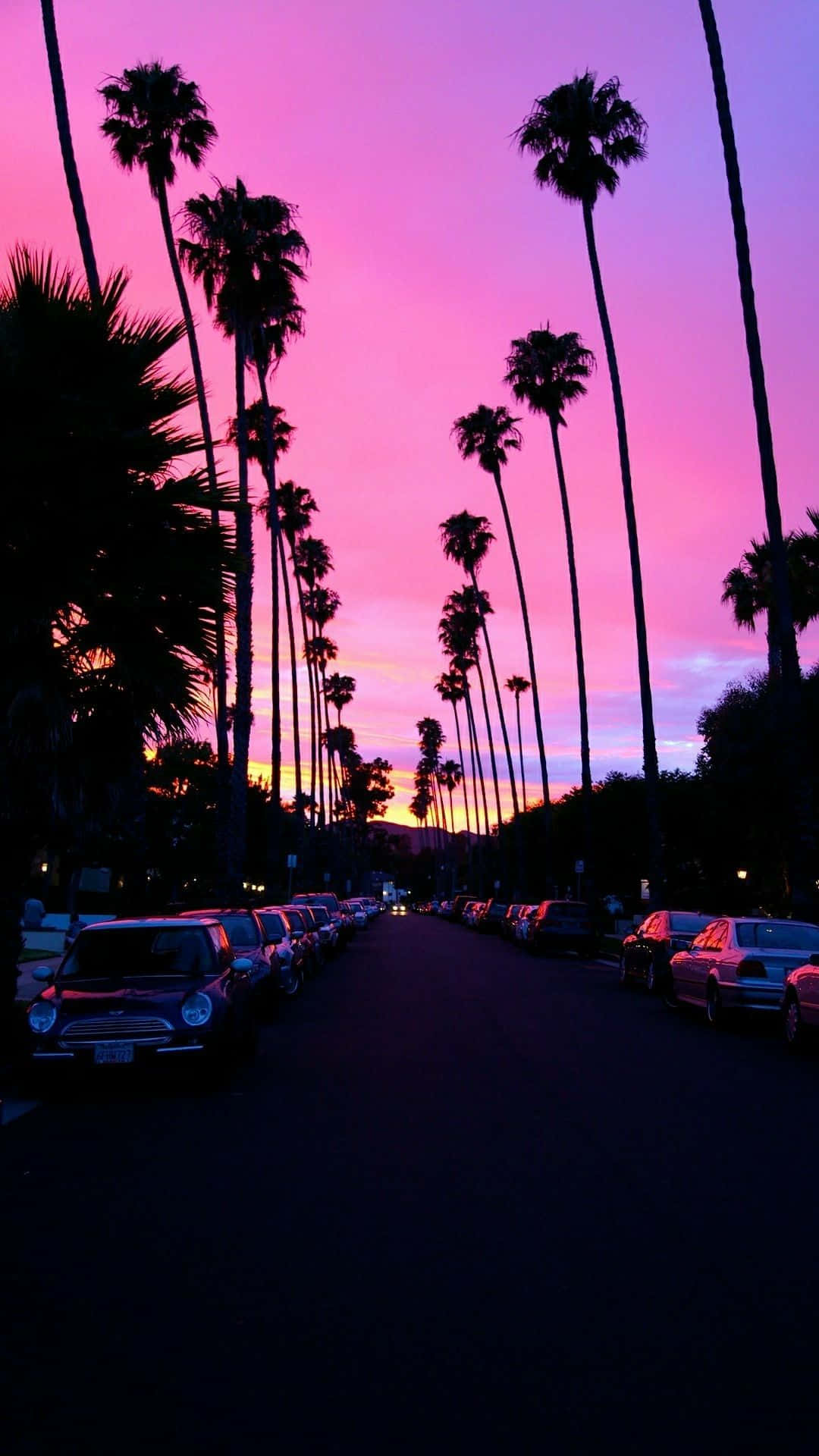Los Angeles, iPhone, palm trees, Full HD Phone Wallpaper