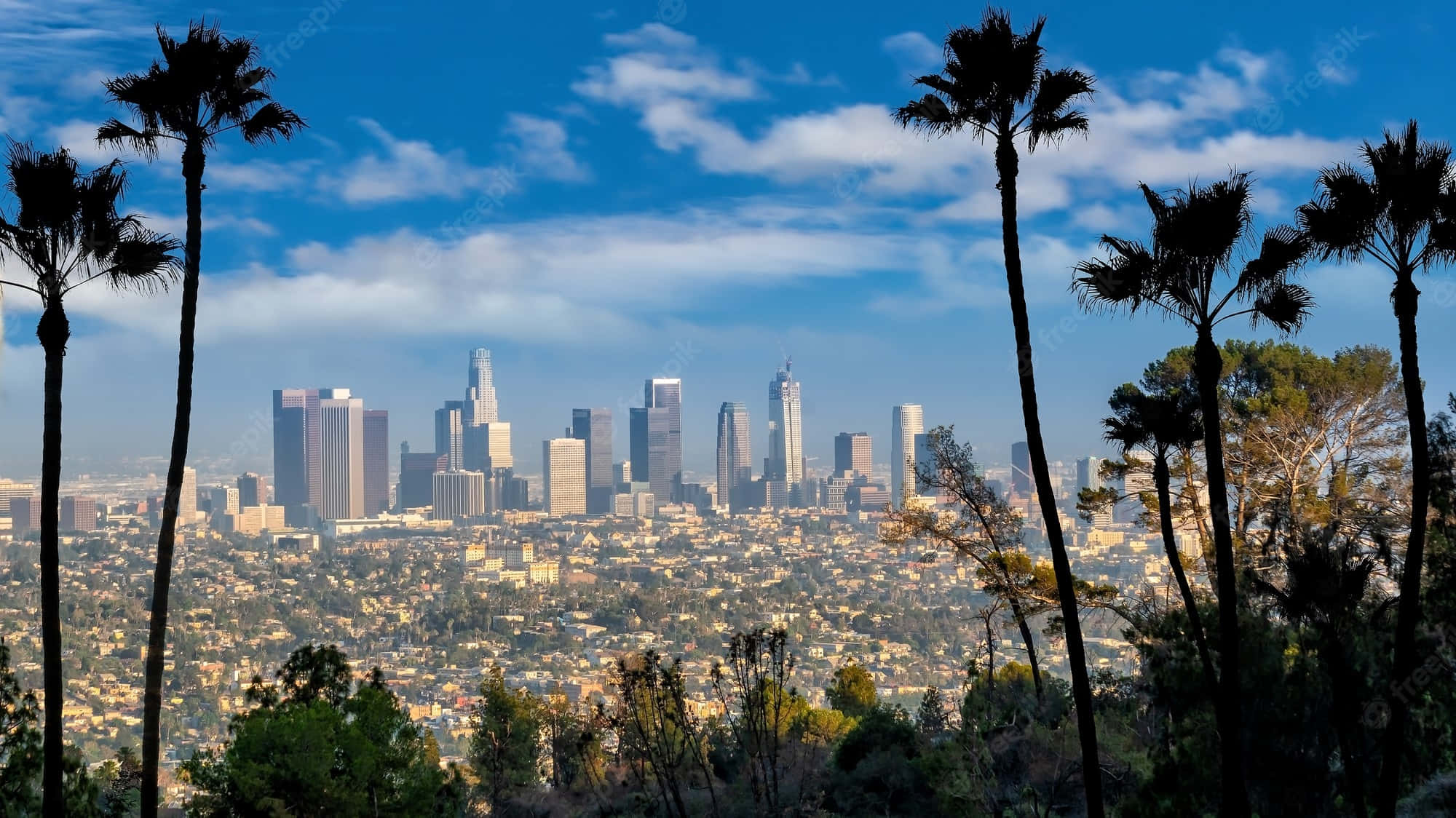 Los Angeles skyline, palm trees, vibrant blue sky, Full HD Desktop Wallpaper