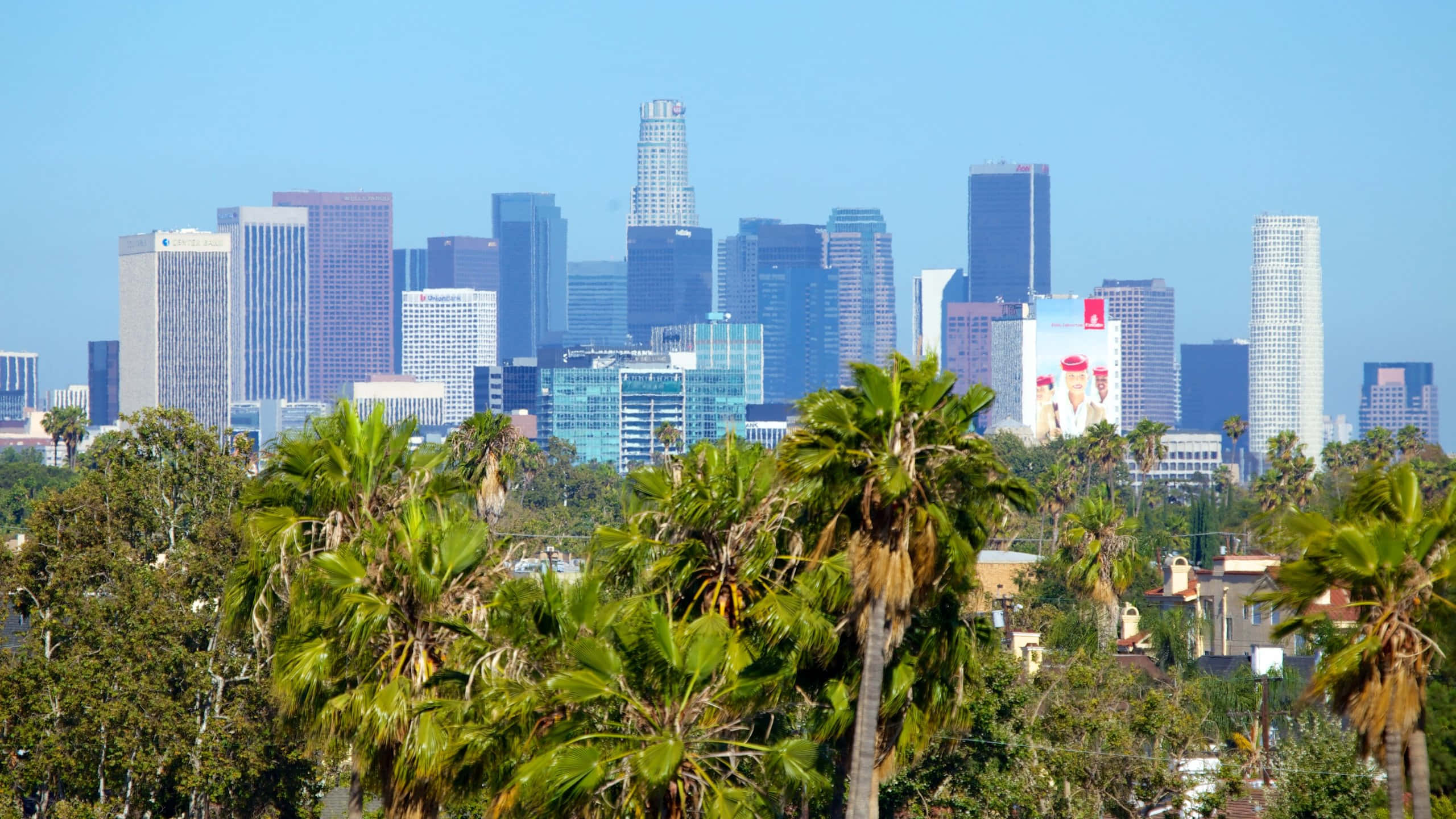 Los Angeles Skyline, palm trees, bright blue sky, 2K Desktop Wallpaper