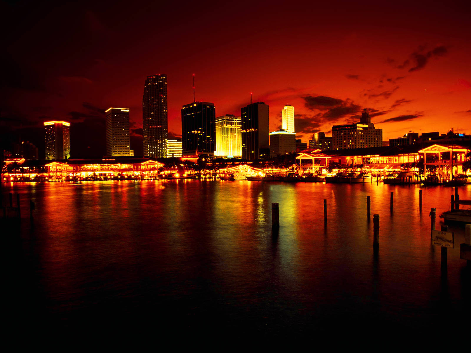 Los Angeles, city lights, buildings, HD Desktop Wallpaper
