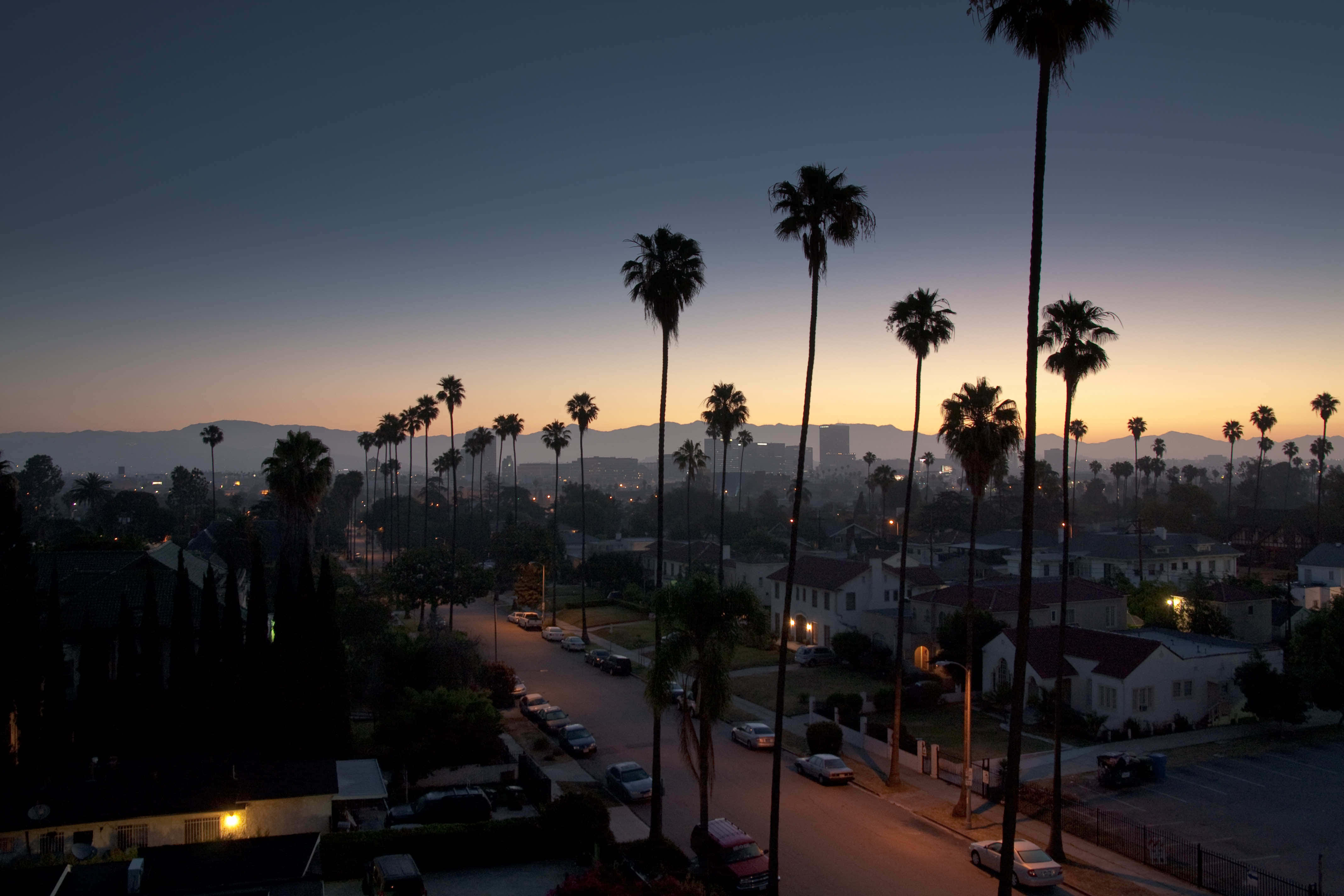 Los Angeles Skyline, tall palm trees, suburban street, 4K Desktop Wallpaper