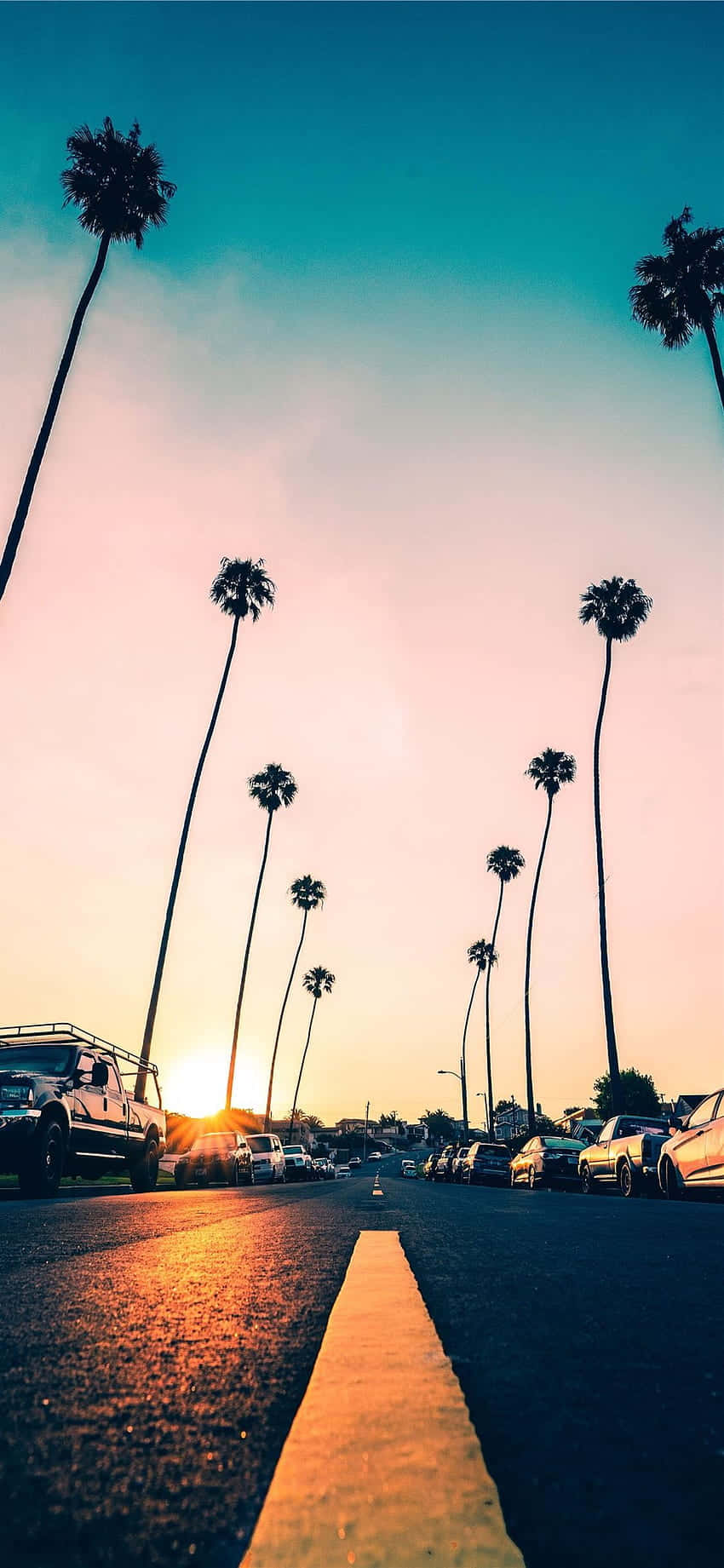 palm trees, sunlit street, sunset, HD Phone Wallpaper