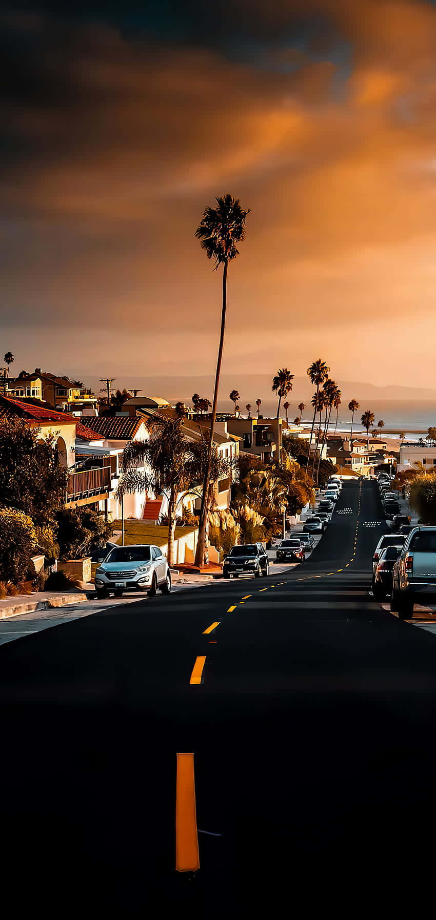 California aesthetic, palm trees, coastal road, HD Phone Wallpaper