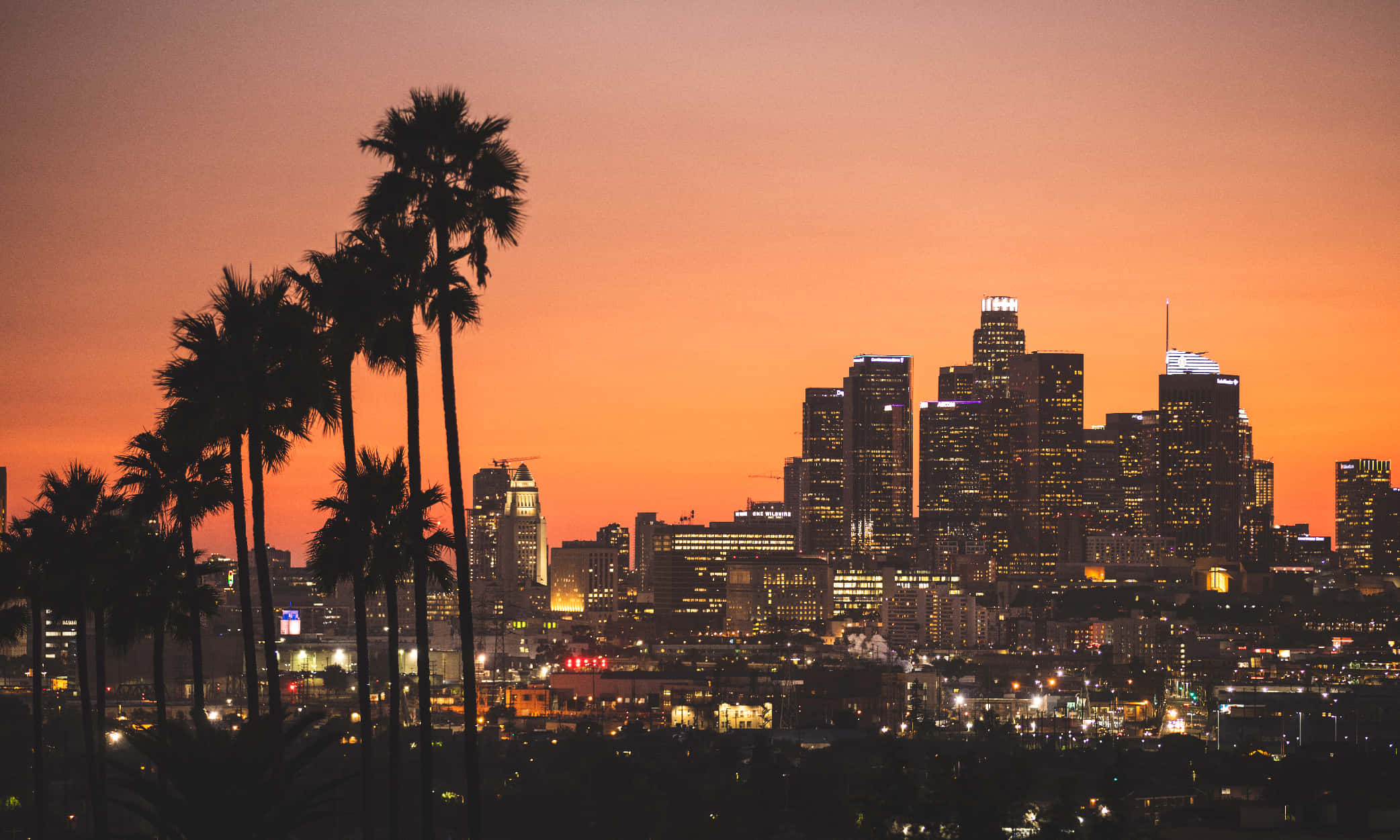 Los Angeles, downtown skyline, palm trees, Full HD Desktop Wallpaper