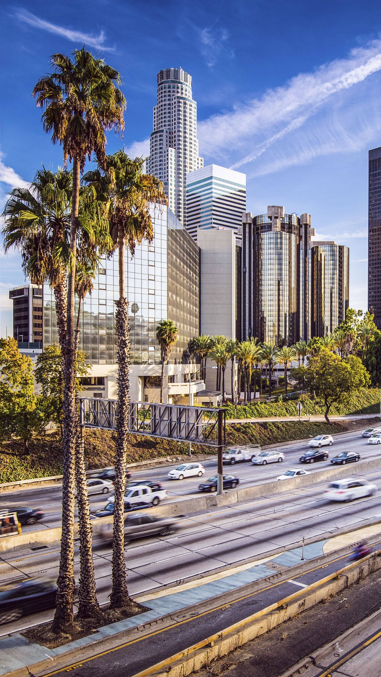 Los Angeles, highway, palm trees, 2K Phone Wallpaper