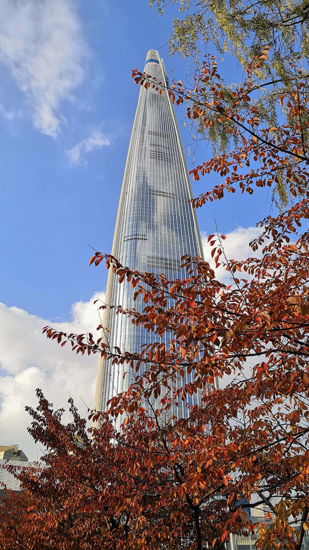Lotte World Tower, autumn leaves, blue sky, Full HD Phone Wallpaper