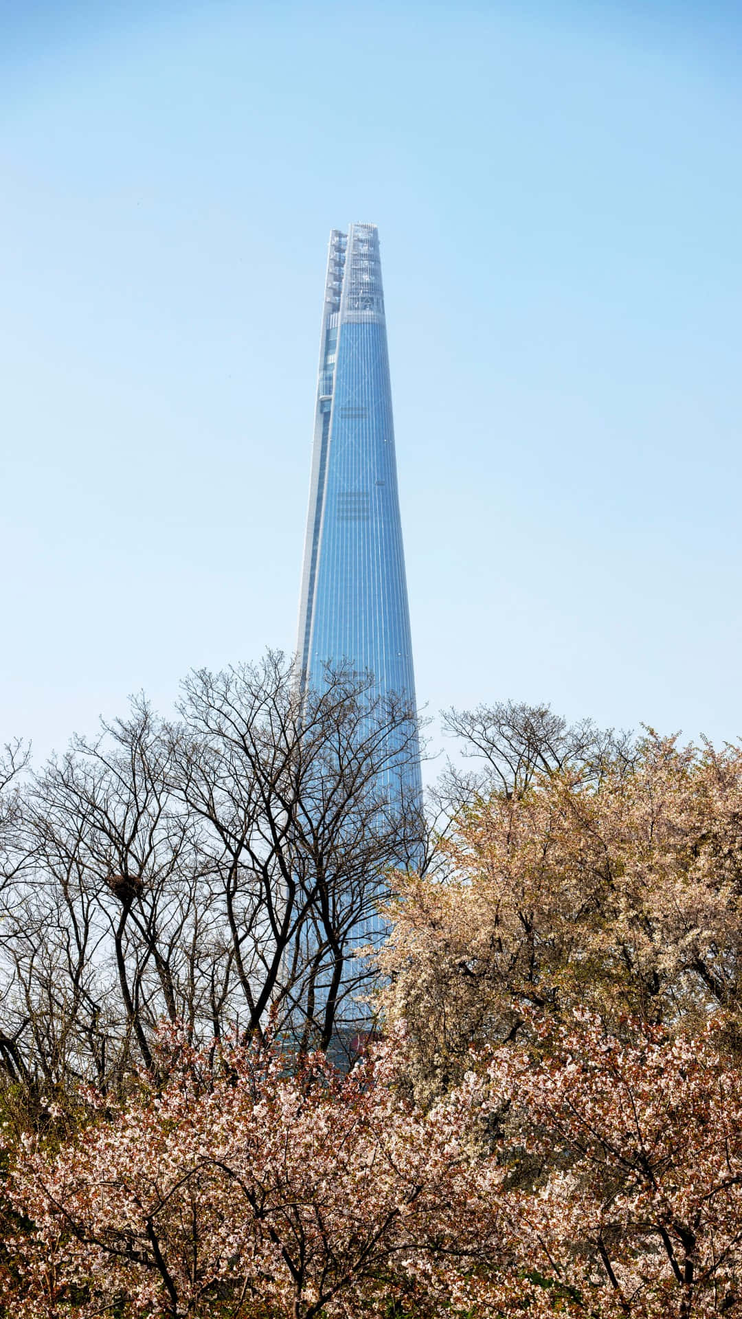 Lotte World Tower, spring view, glass skyscraper, Full HD Phone Wallpaper