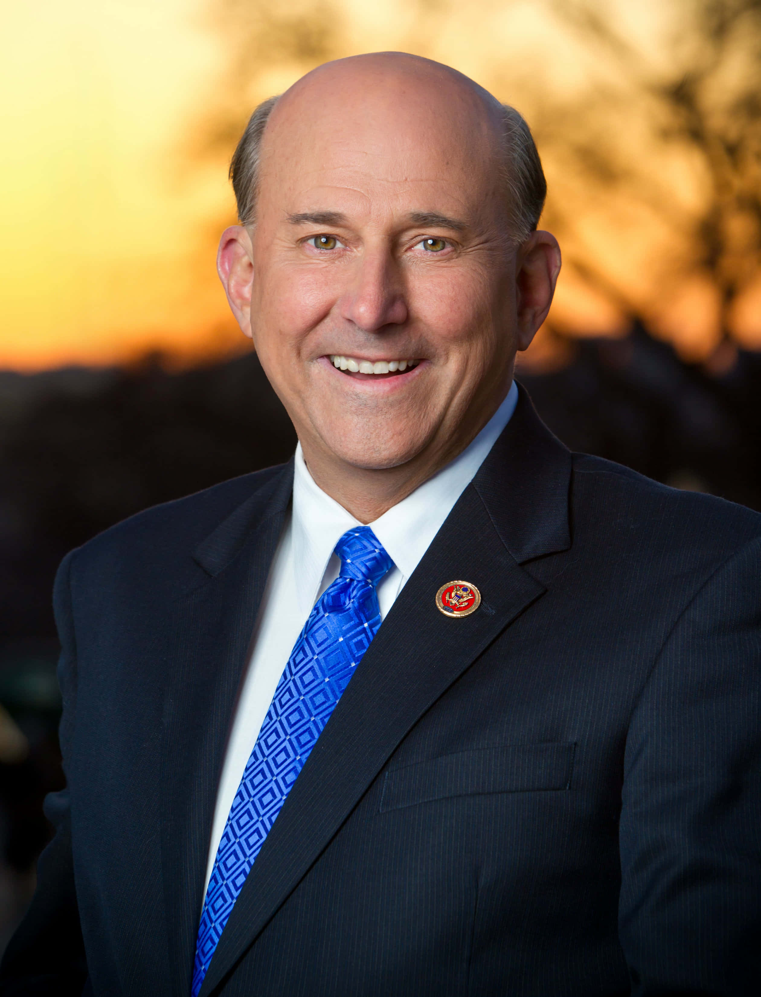 Louie Gohmert, dark suit, blue patterned tie, 2K Phone Wallpaper