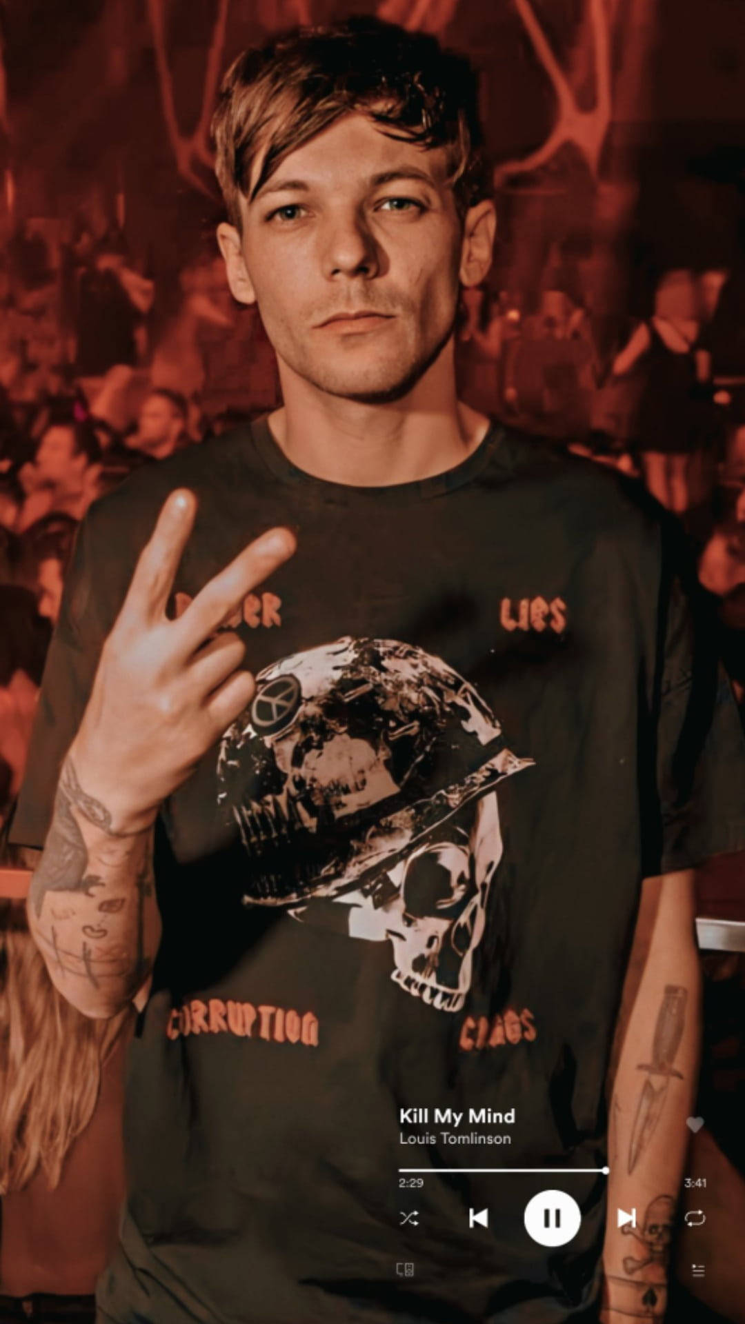 Louis Tomlinson, skull graphic t-shirt, dimly lit concert, Full HD Phone Wallpaper