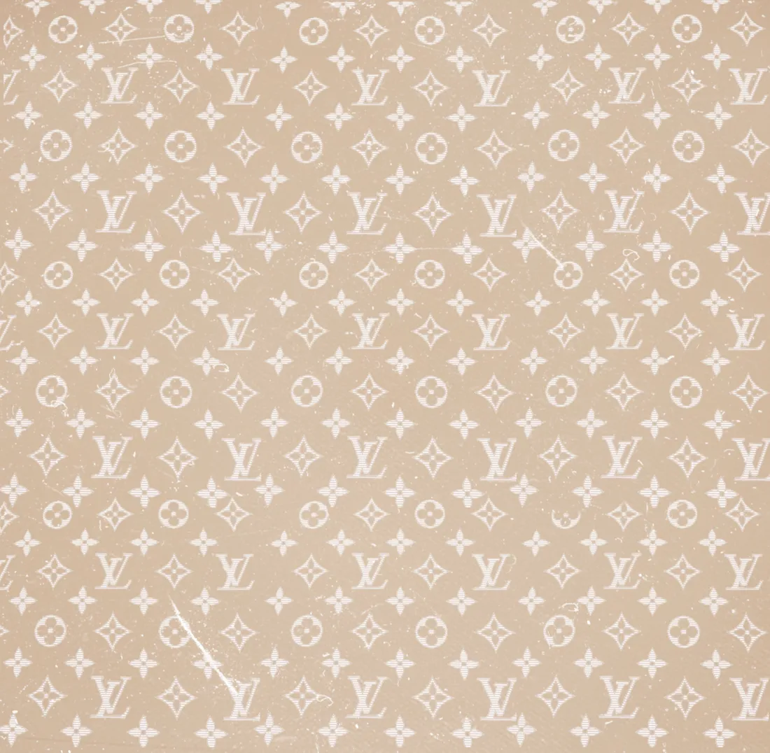Louis Vuitton Aesthetic