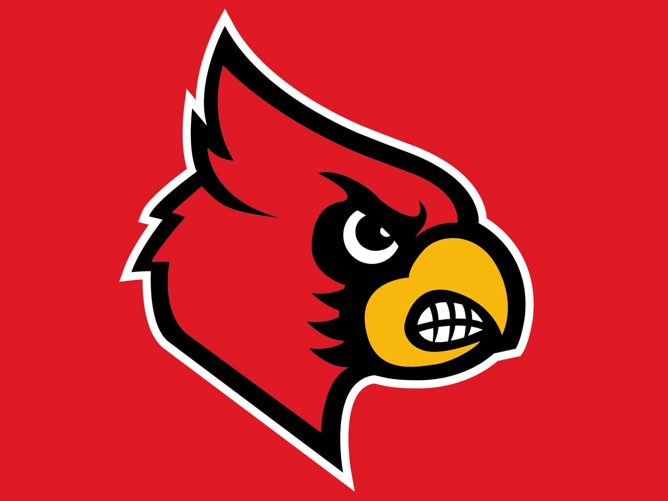 Louisville Cardinals, red background, cardinal mascot logo, HD Desktop Wallpaper