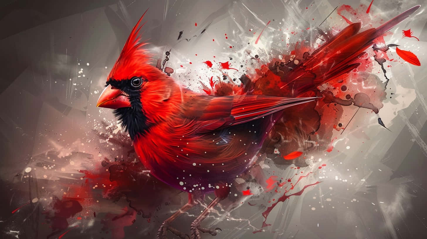 vibrant red cardinal, dynamic paint splatters, gritty gray background, HD Desktop Wallpaper