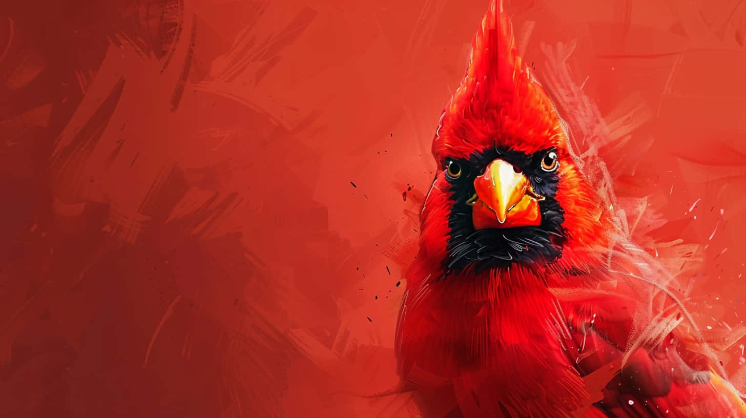 Louisville Cardinals, male cardinal, bright red plumage, HD Desktop Wallpaper