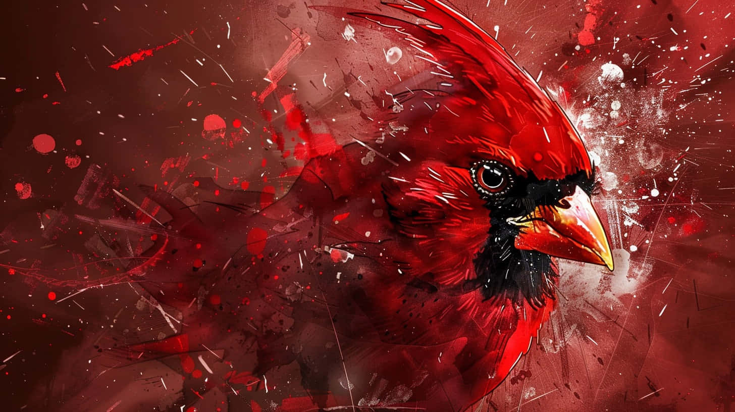 cardinal bird, black mask, yellow beak, HD Desktop Wallpaper