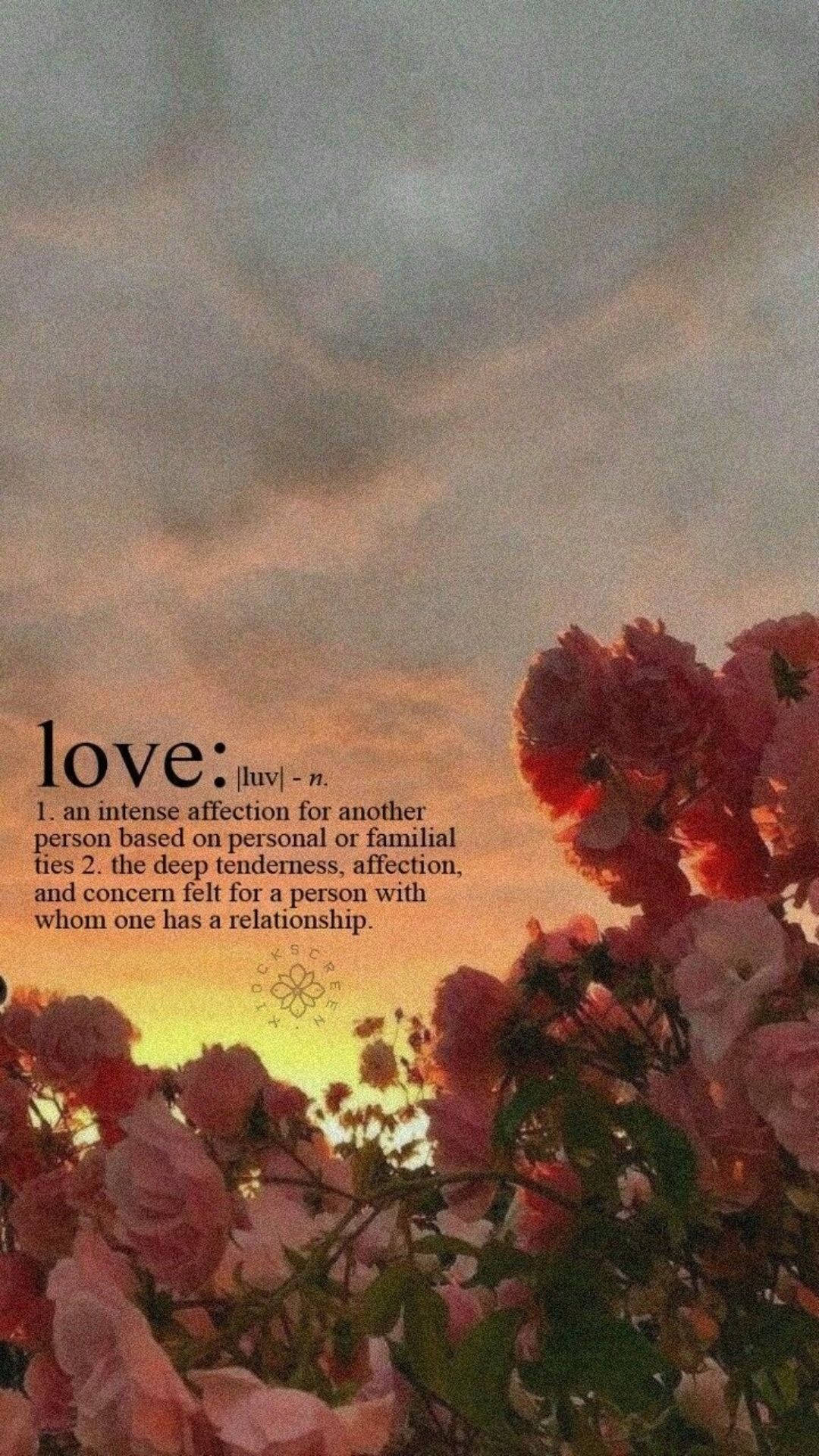 Love Aesthetic, pink roses, soft sunset sky, Full HD Phone Wallpaper