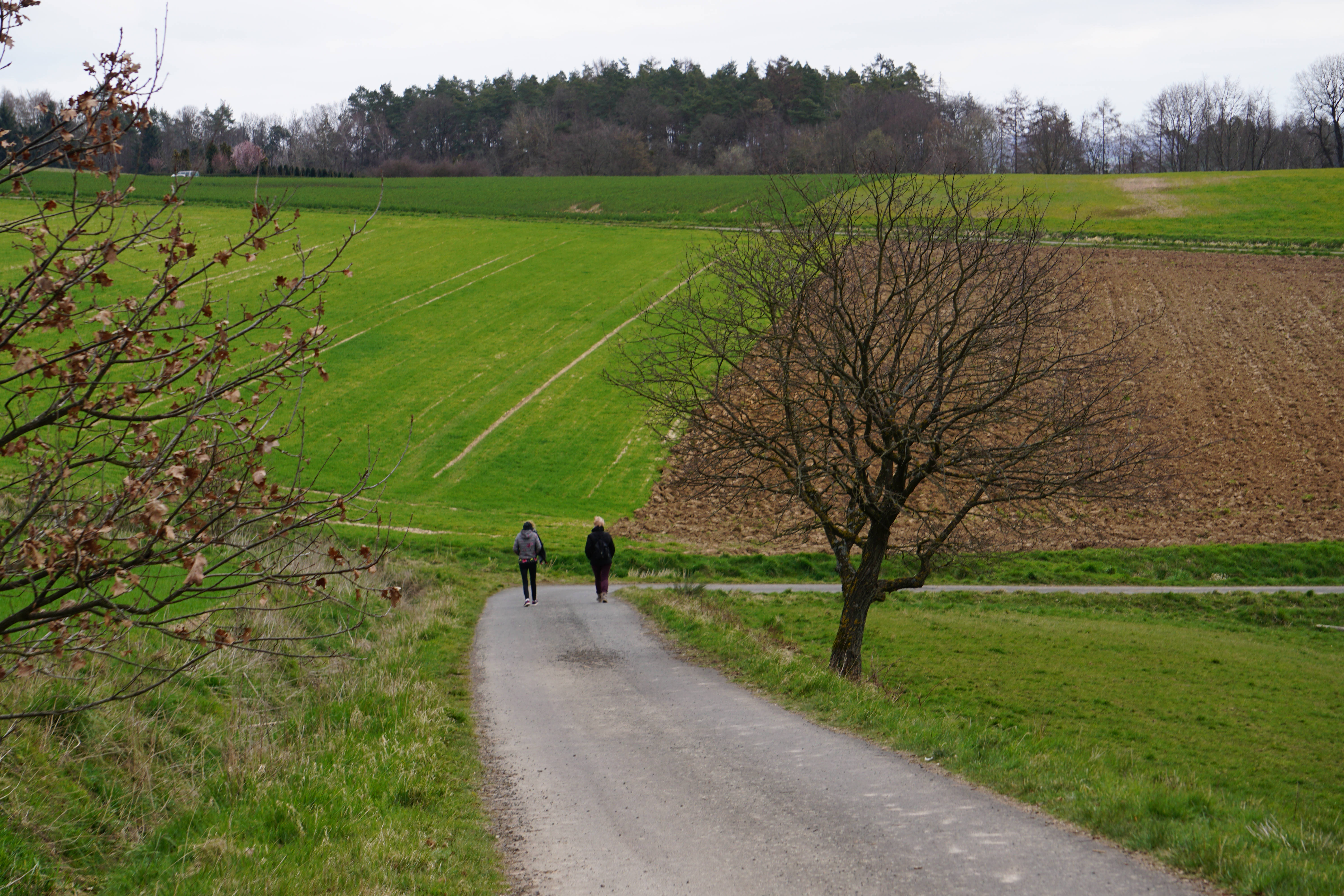 Love And Friendship, cold day, rural road, 5K Desktop Wallpaper