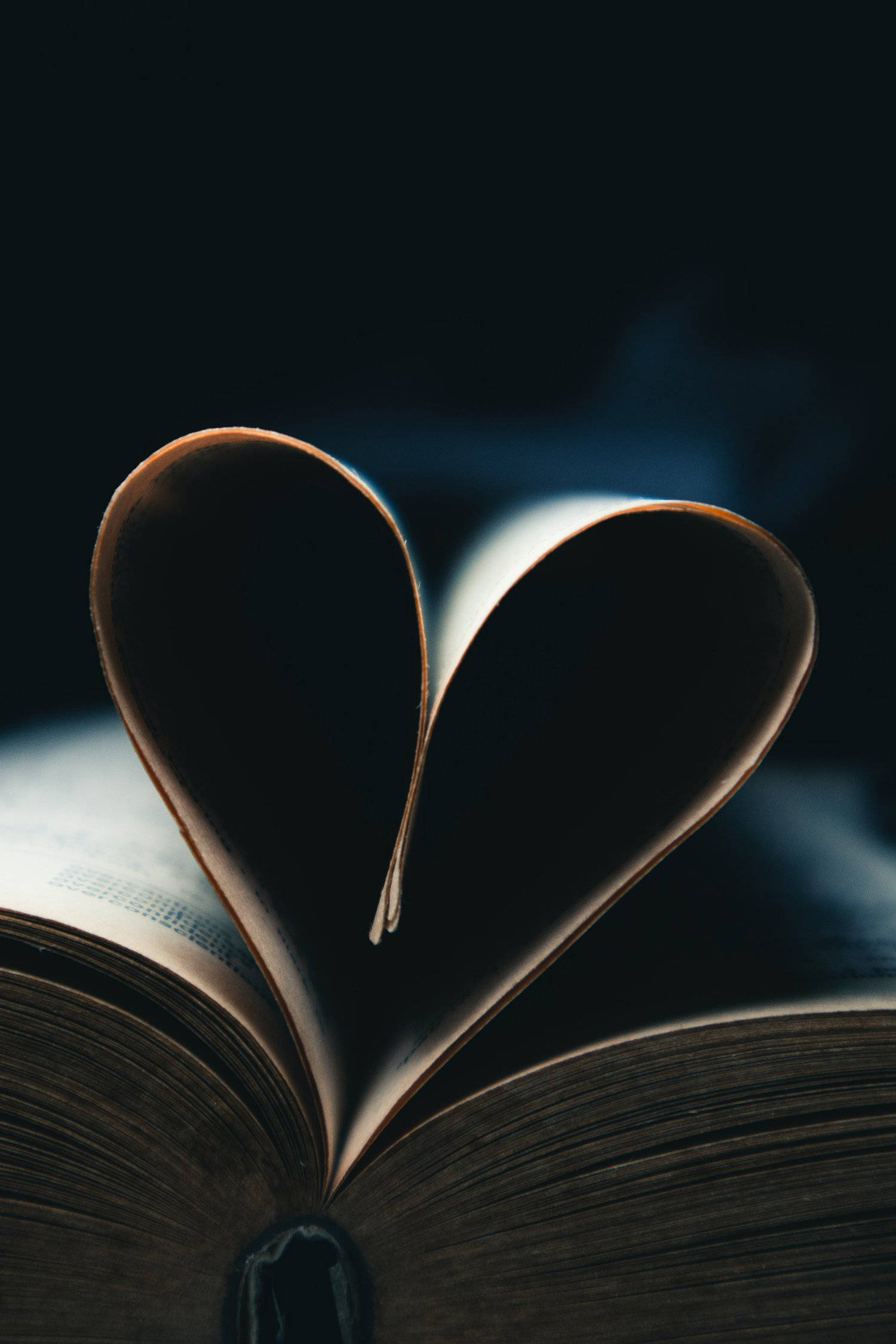 True Love Book Heart, book, heart shape, Full HD Phone Wallpaper