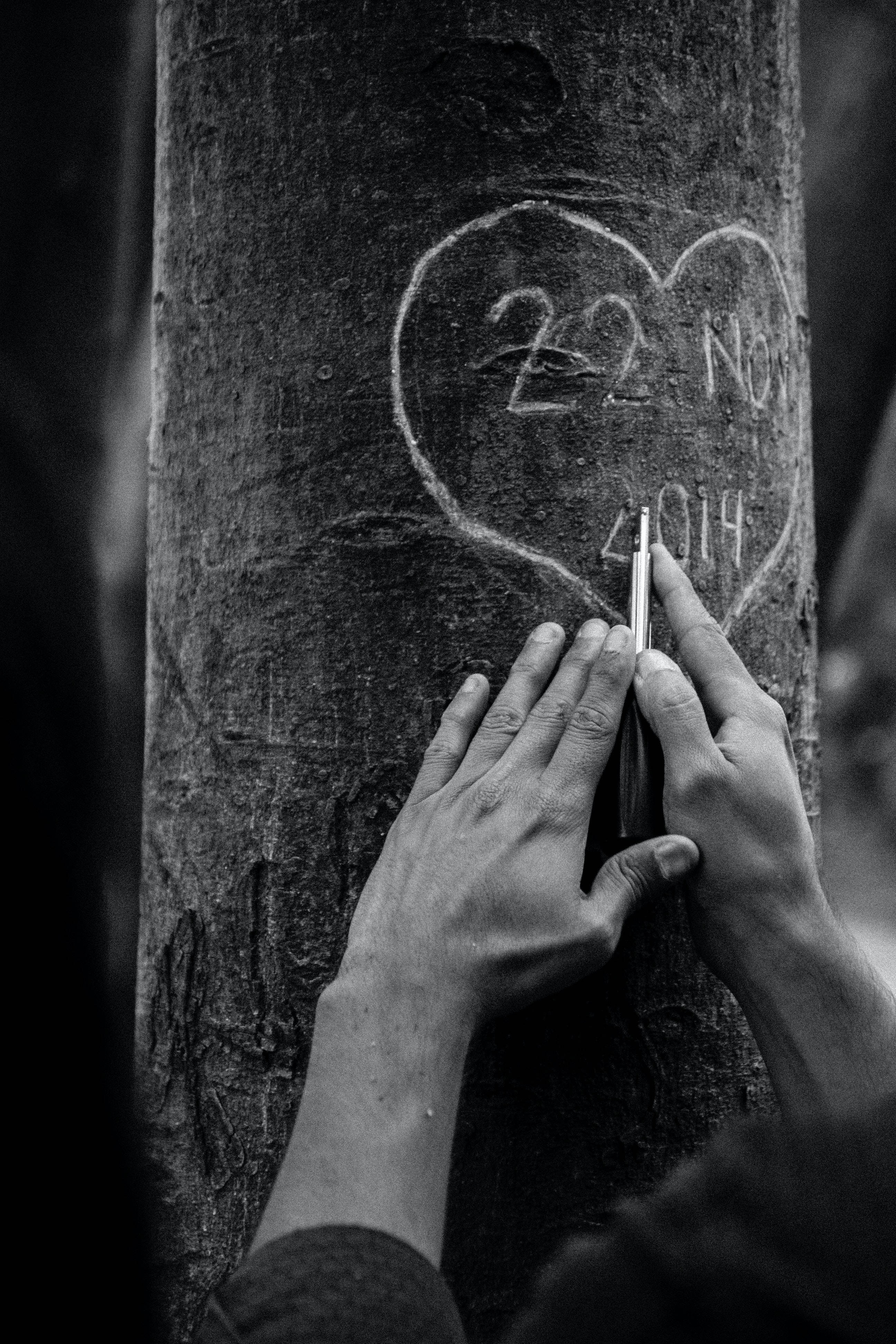 tree carving, heart with date 22 Nov 2014, rough tree trunk, 4K Phone Wallpaper