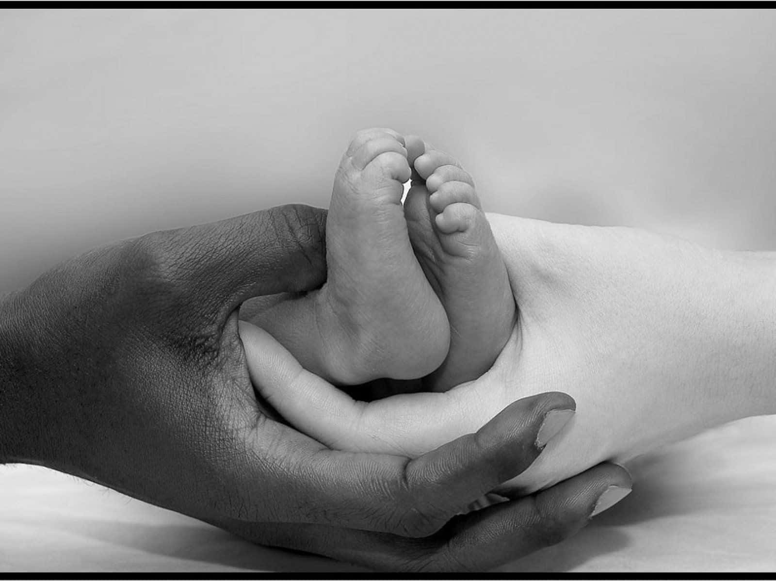 black and white, baby, adult's hand, HD Desktop Wallpaper
