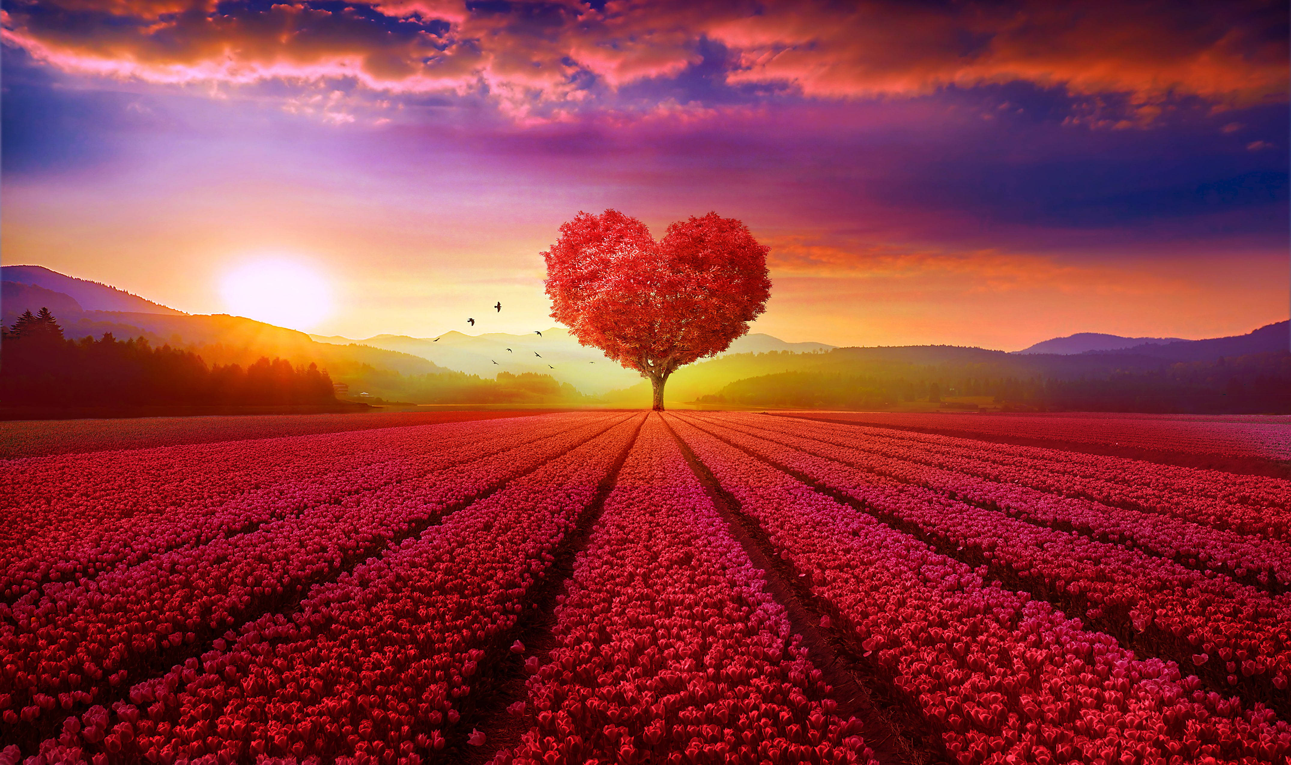 Heart Tree, pink flowers, vibrant sunset sky, 4K Desktop Wallpaper