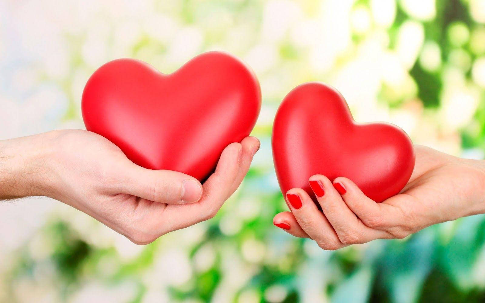Two Hands Heart Love Full HD, red heart-shaped objects, soft green and white blurred background, HD Desktop Wallpaper