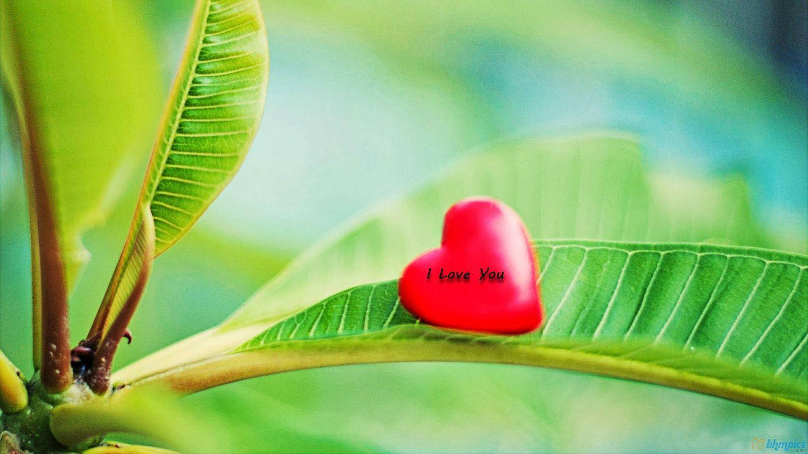 I Love You, glossy red heart, vibrant green leaf, HD Desktop Wallpaper