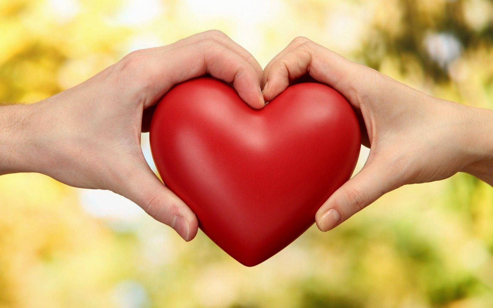 Heart Hands Love Full HD, glossy red heart, soft golden bokeh background, HD Desktop Wallpaper