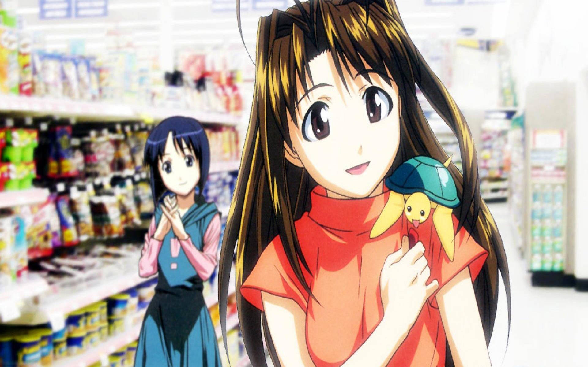 Love Hina, supermarket aisle, plush toy, Full HD Desktop Wallpaper