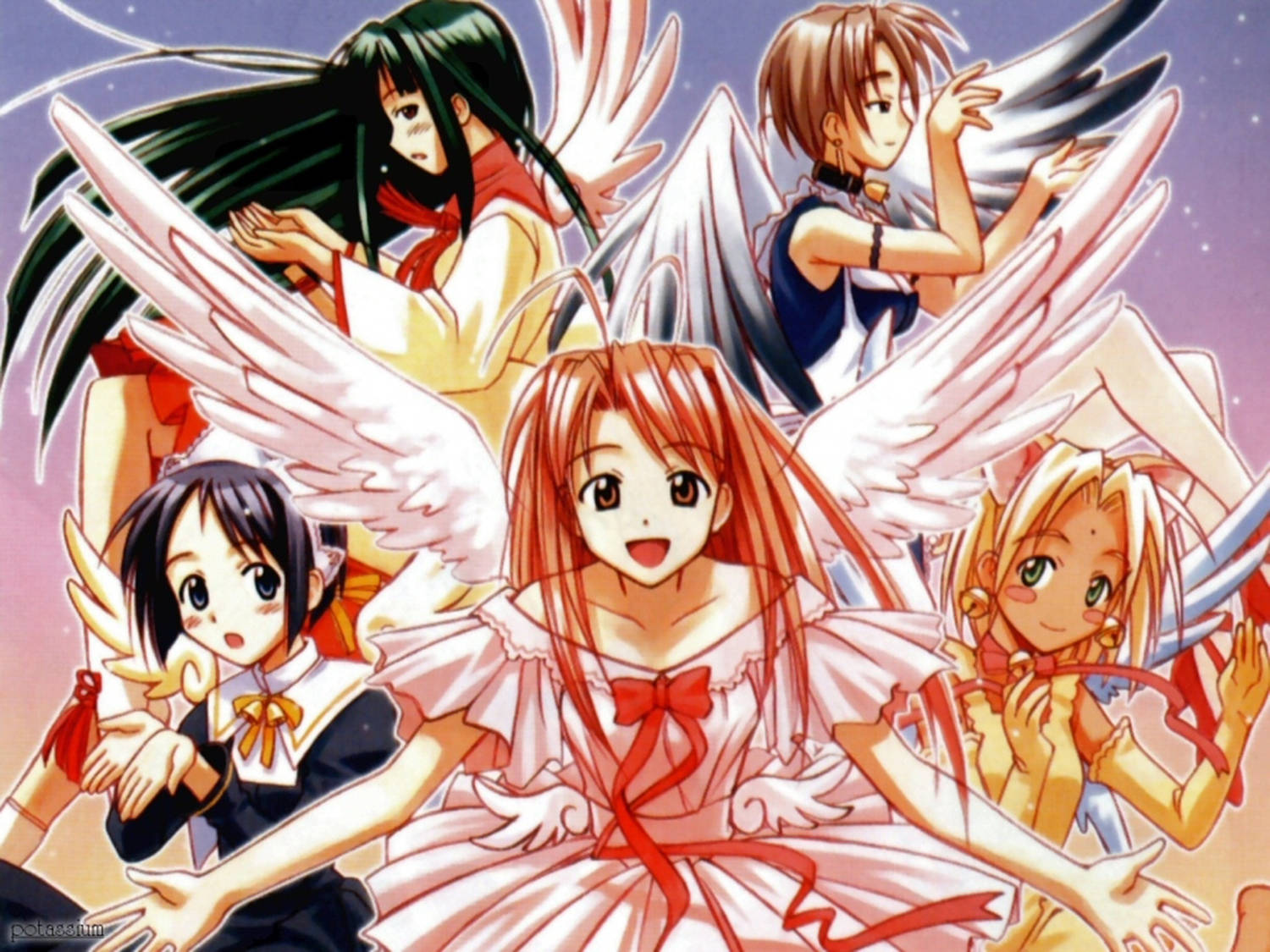 Love Hina, angel wings, starry purple sky, HD Desktop Wallpaper