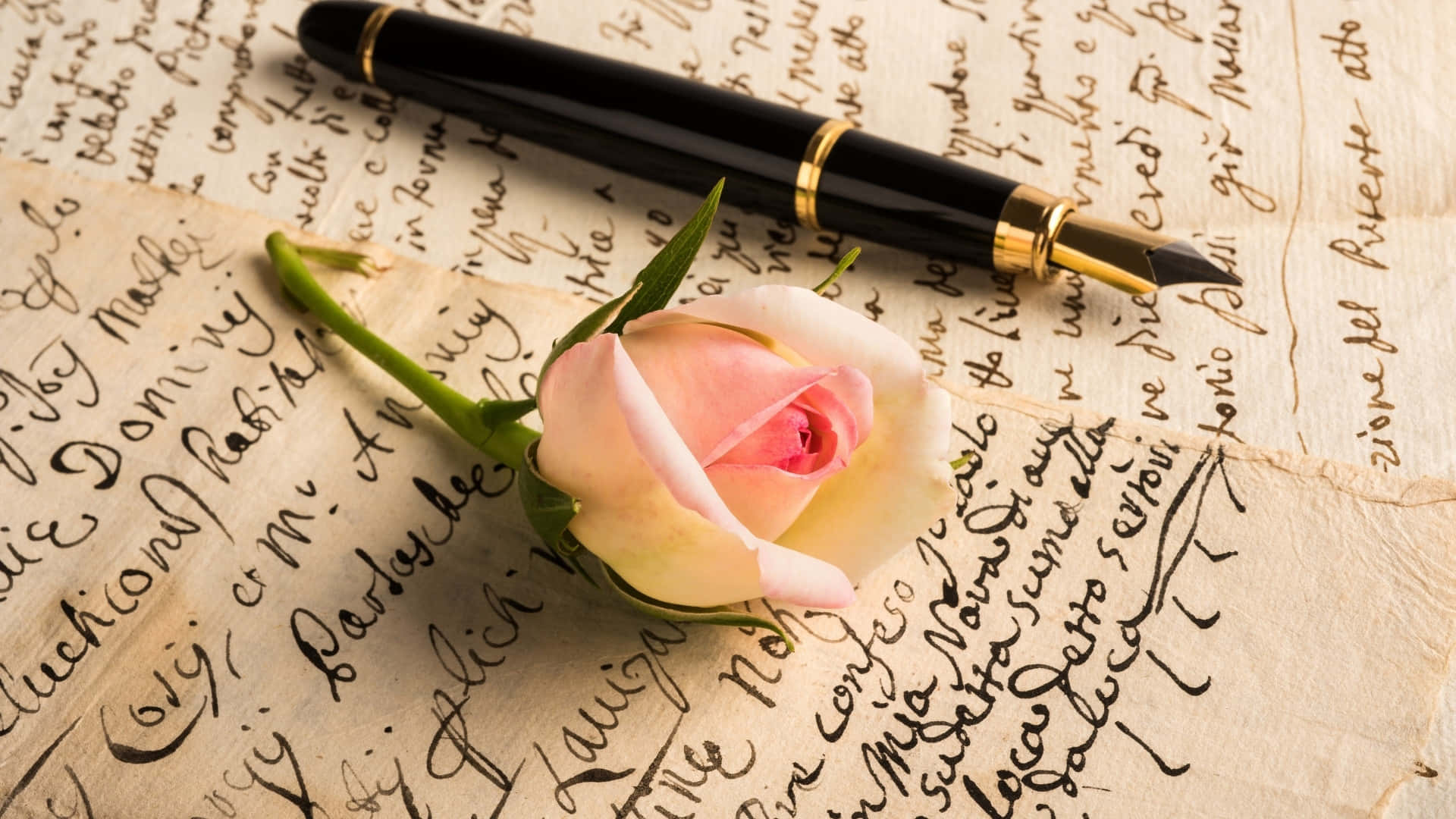 pink rosebud, black fountain pen, aged parchment, Full HD Desktop Wallpaper