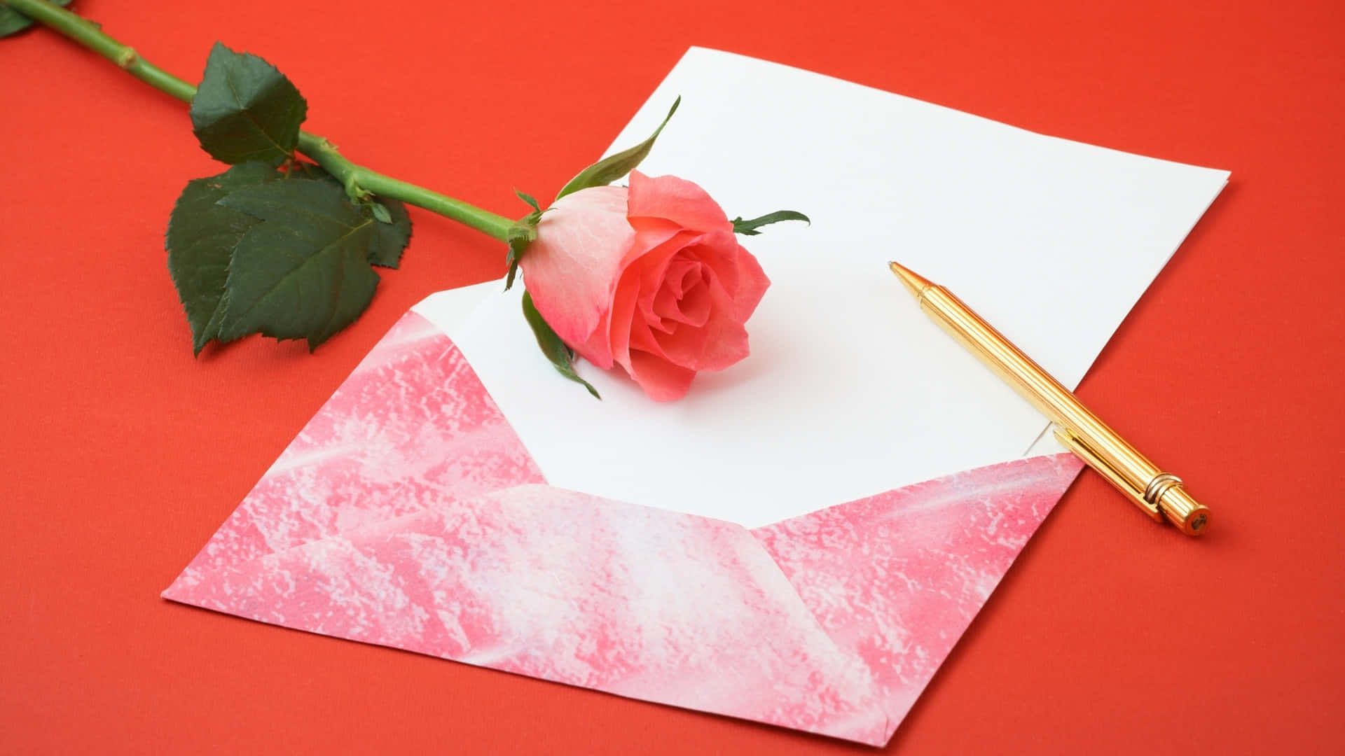 pink rose, open pink envelope, gold pen, Full HD Desktop Wallpaper