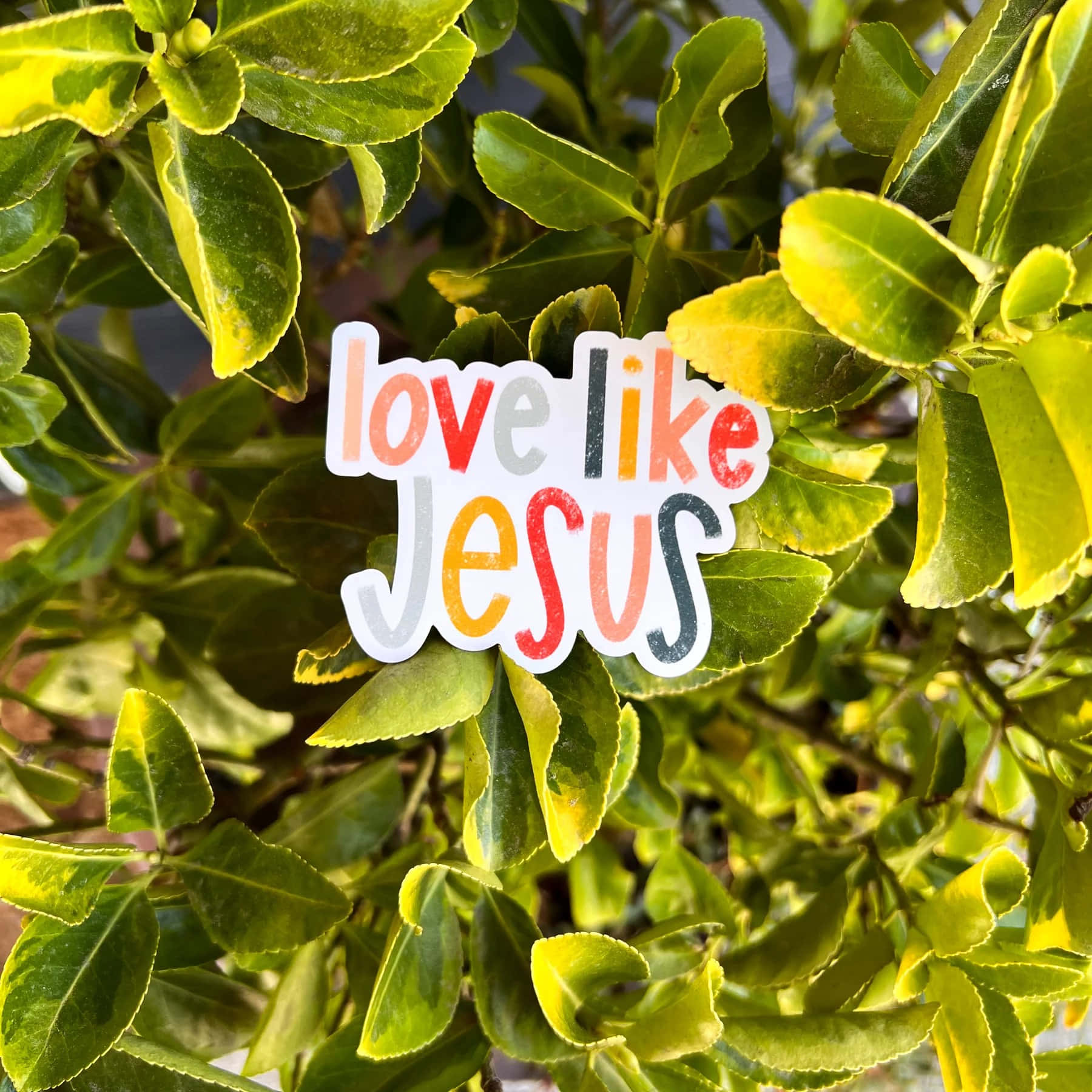 love like jesus, sticker, nature backdrop, HD Desktop Wallpaper