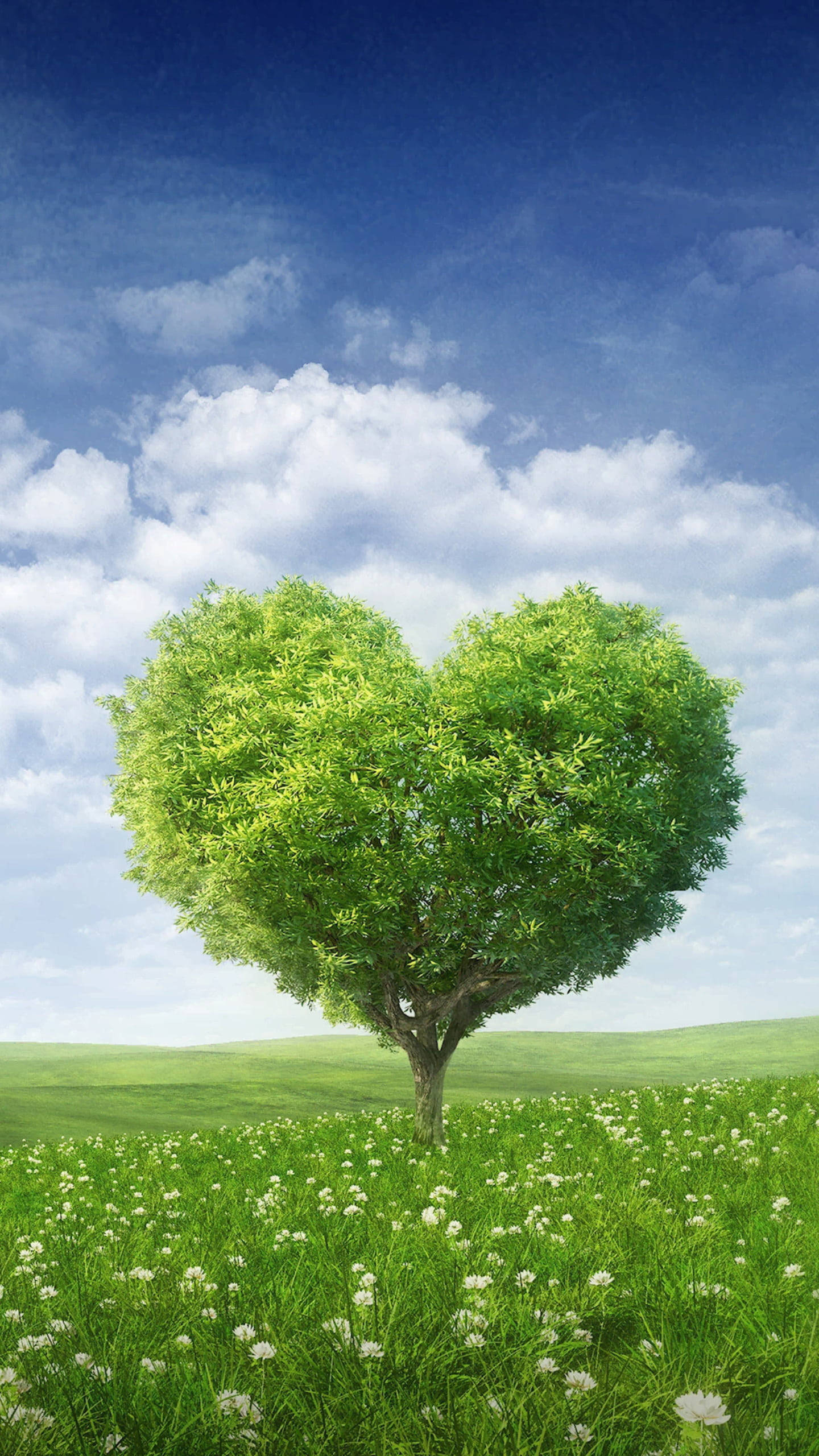 heart-shaped tree, sunlit meadow, white flowers, 2K Phone Wallpaper